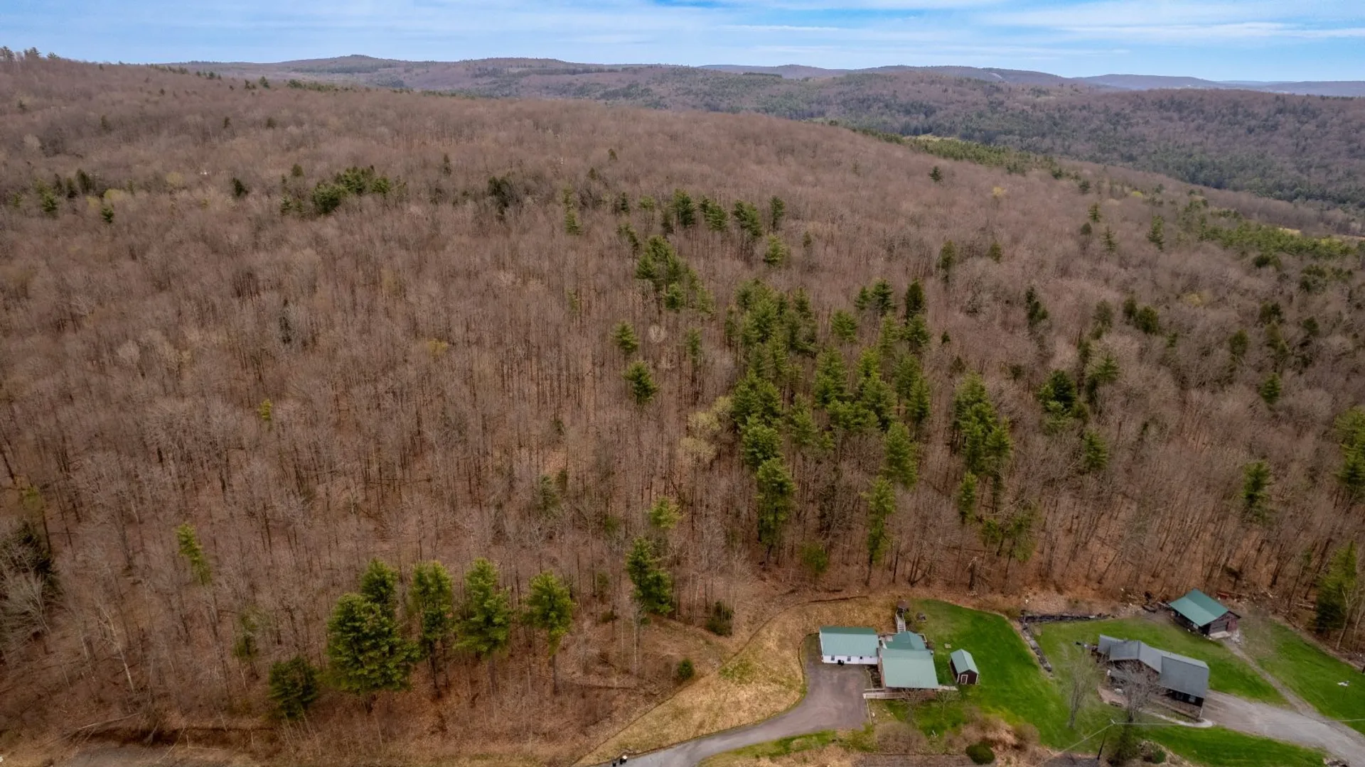 Property at 18176 State Highway 8, Sidney, NY 13838 7