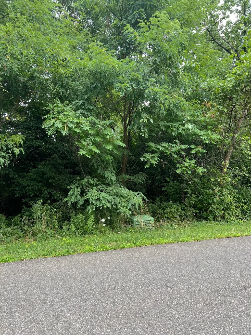 Property at L 7 Johnson Street, Canajoharie, NY 13317