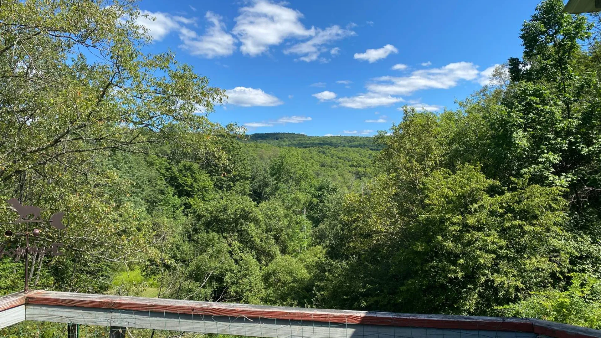 Property at 587 Richardson Hill Rd, Sidney Center, NY 13839 28