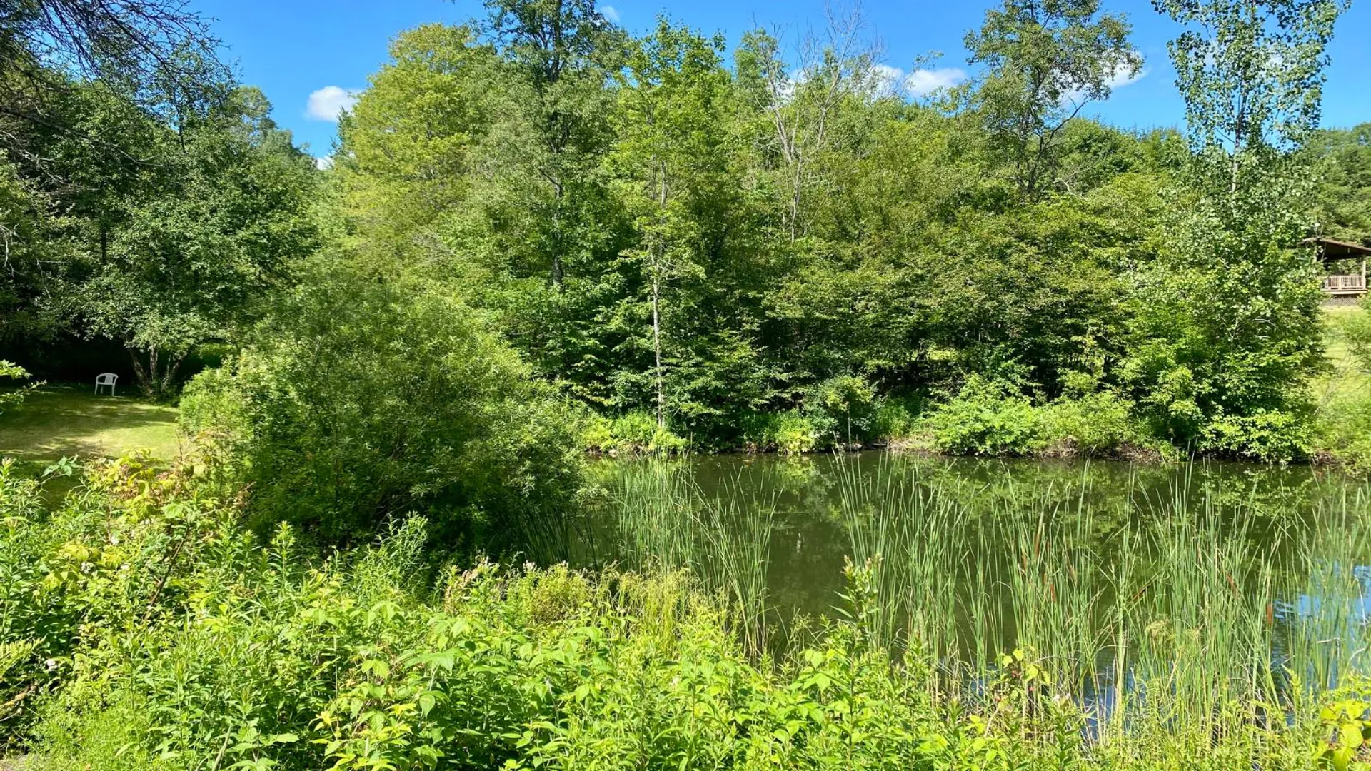 Property at 587 Richardson Hill Rd, Sidney Center, NY 13839 32