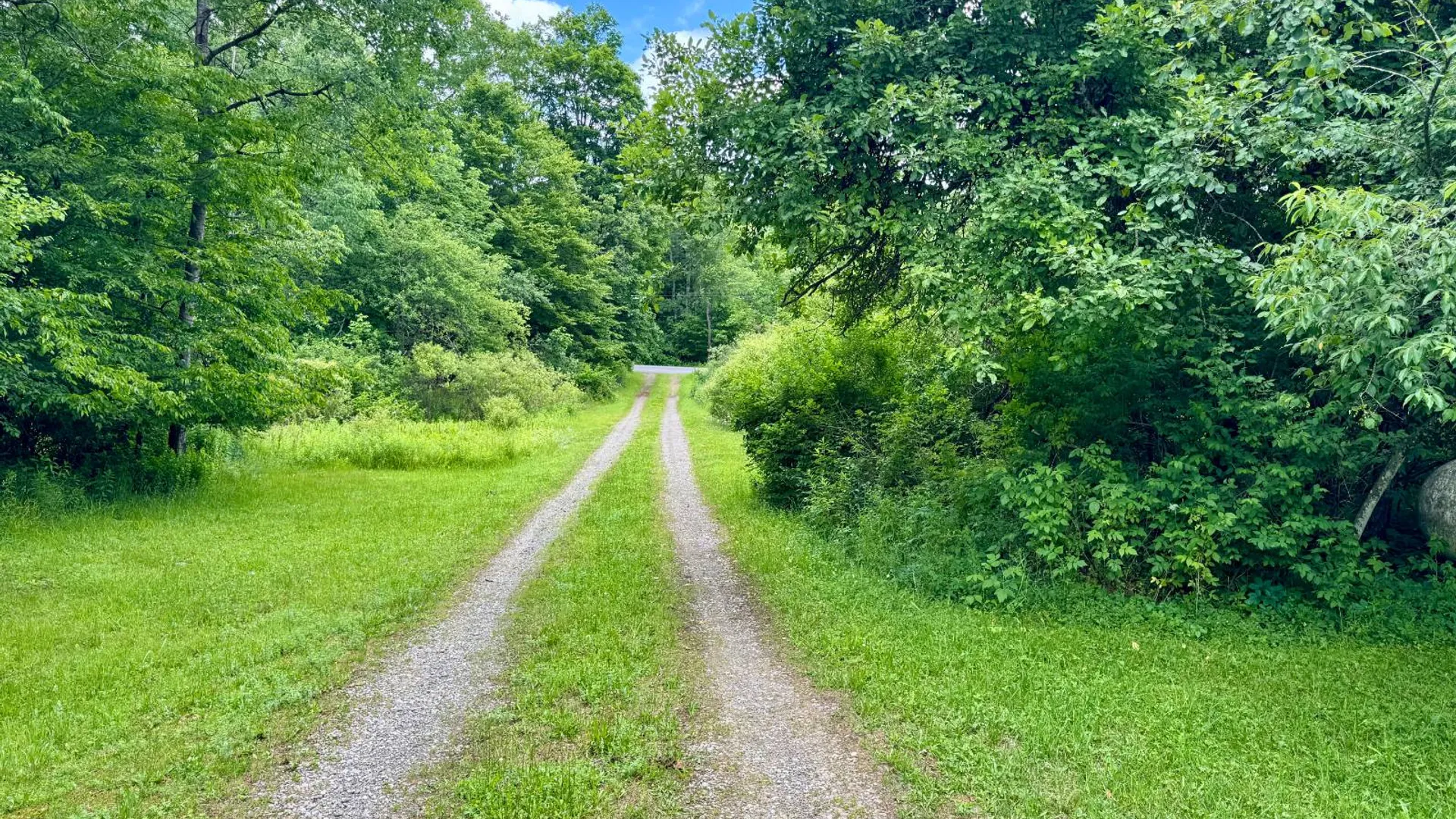 Property at 587 Richardson Hill Rd, Sidney Center, NY 13839 52