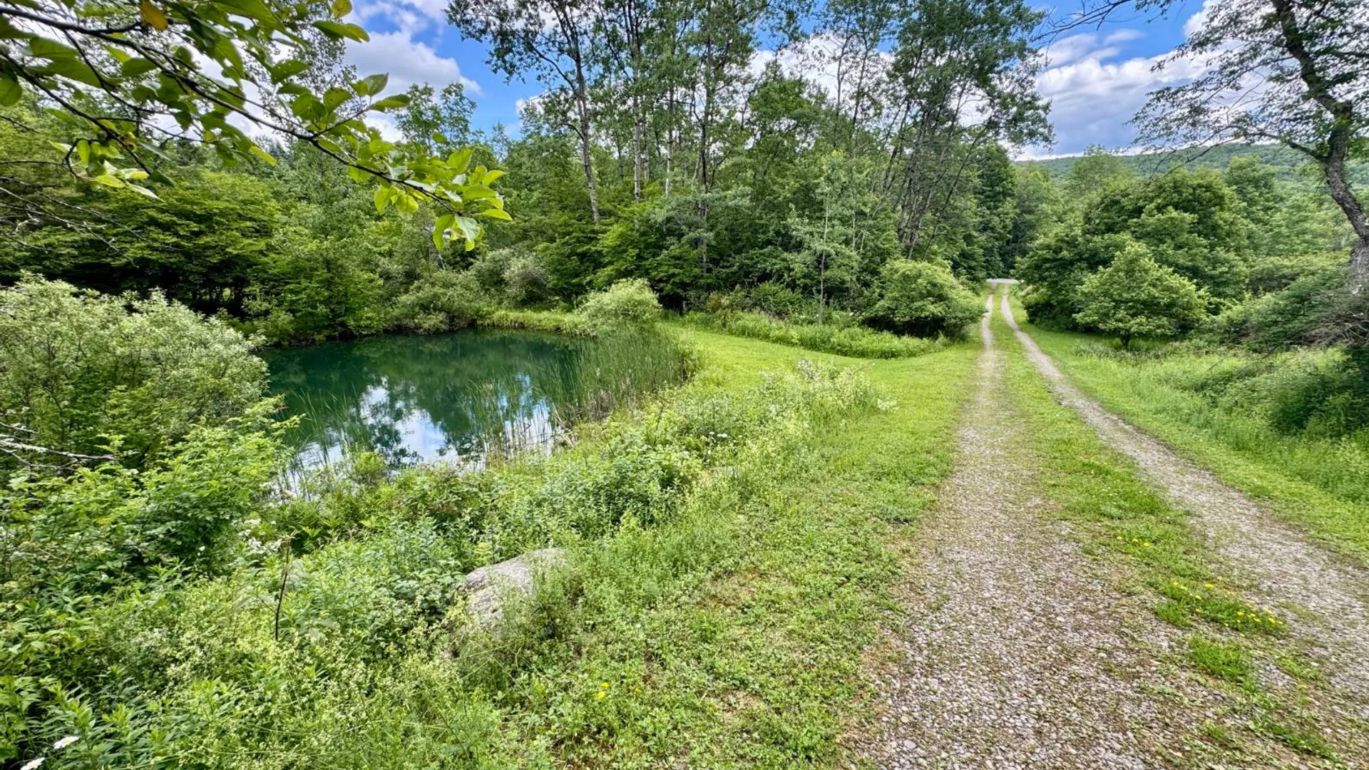 Property at 587 Richardson Hill Rd, Sidney Center, NY 13839 56