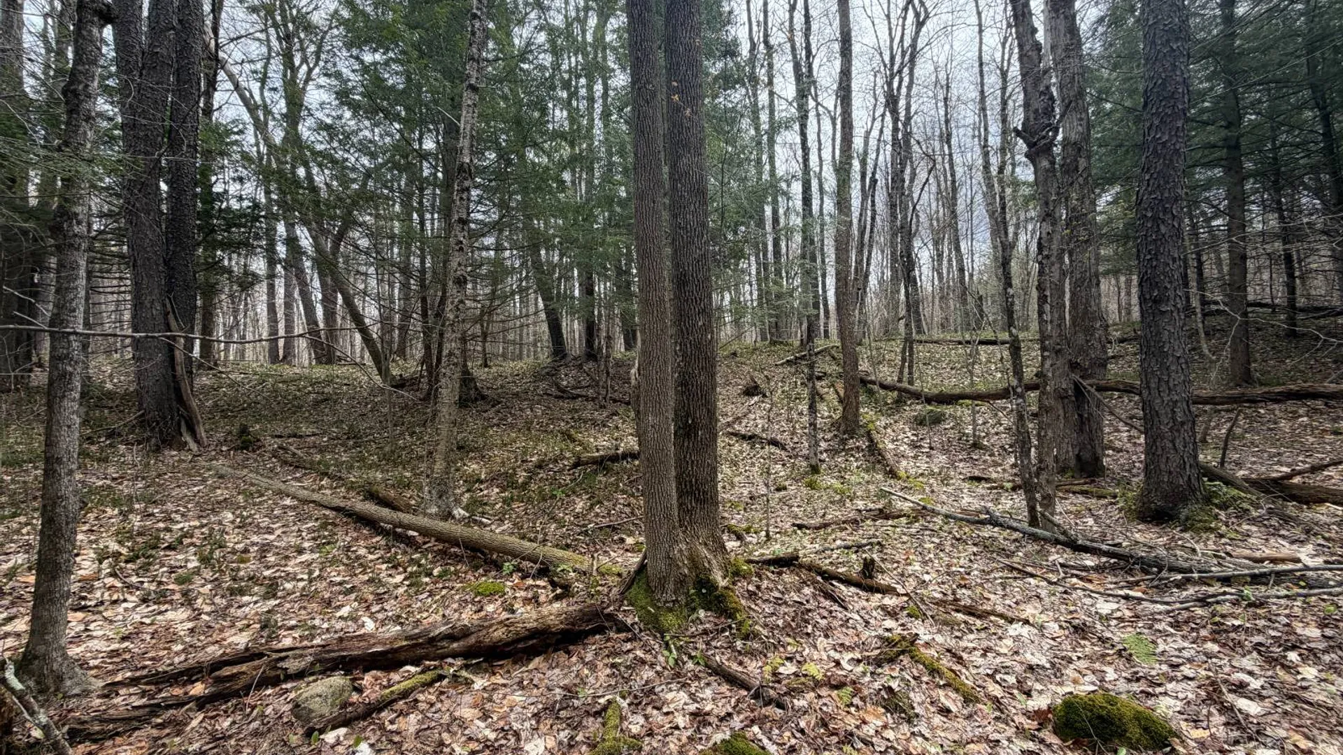 Property at 0 White Road, Dickinson, NY 12980 24