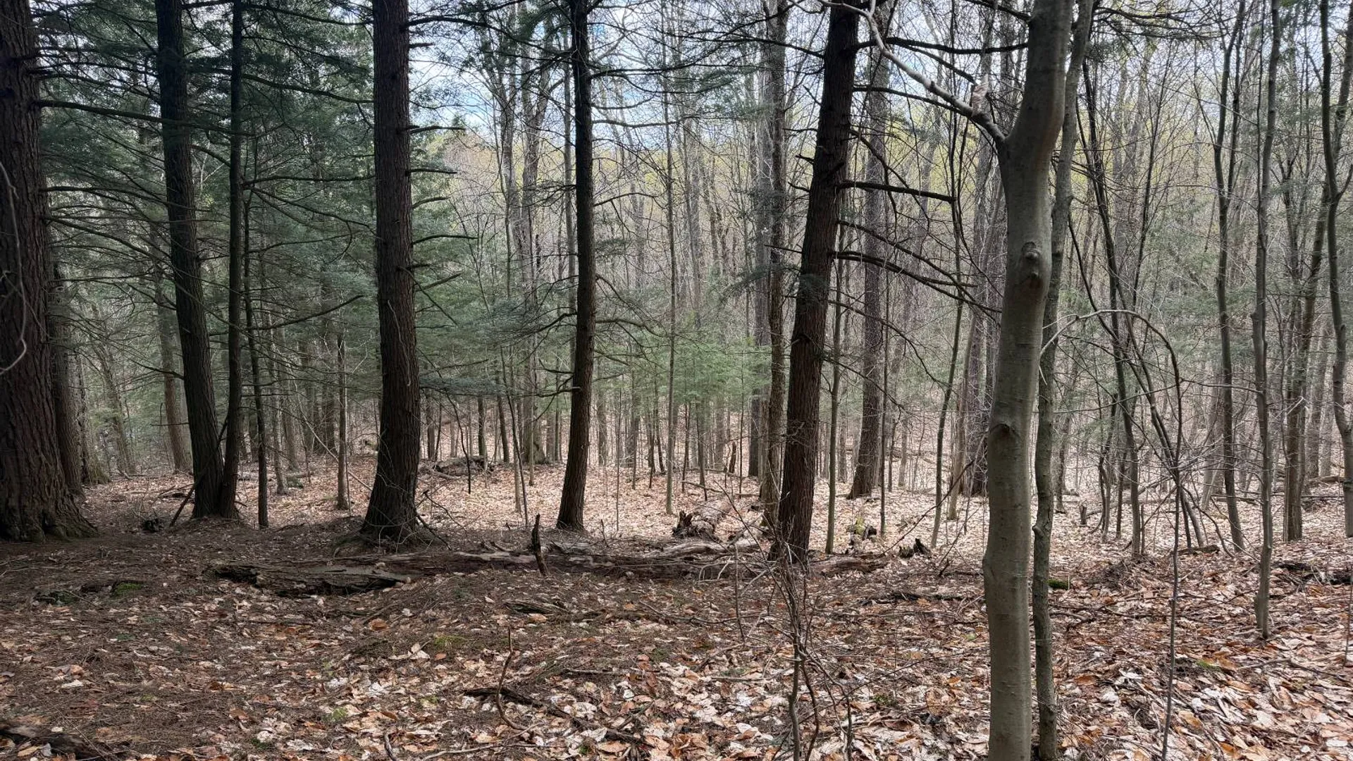 Property at 0 White Road, Dickinson, NY 12980 25