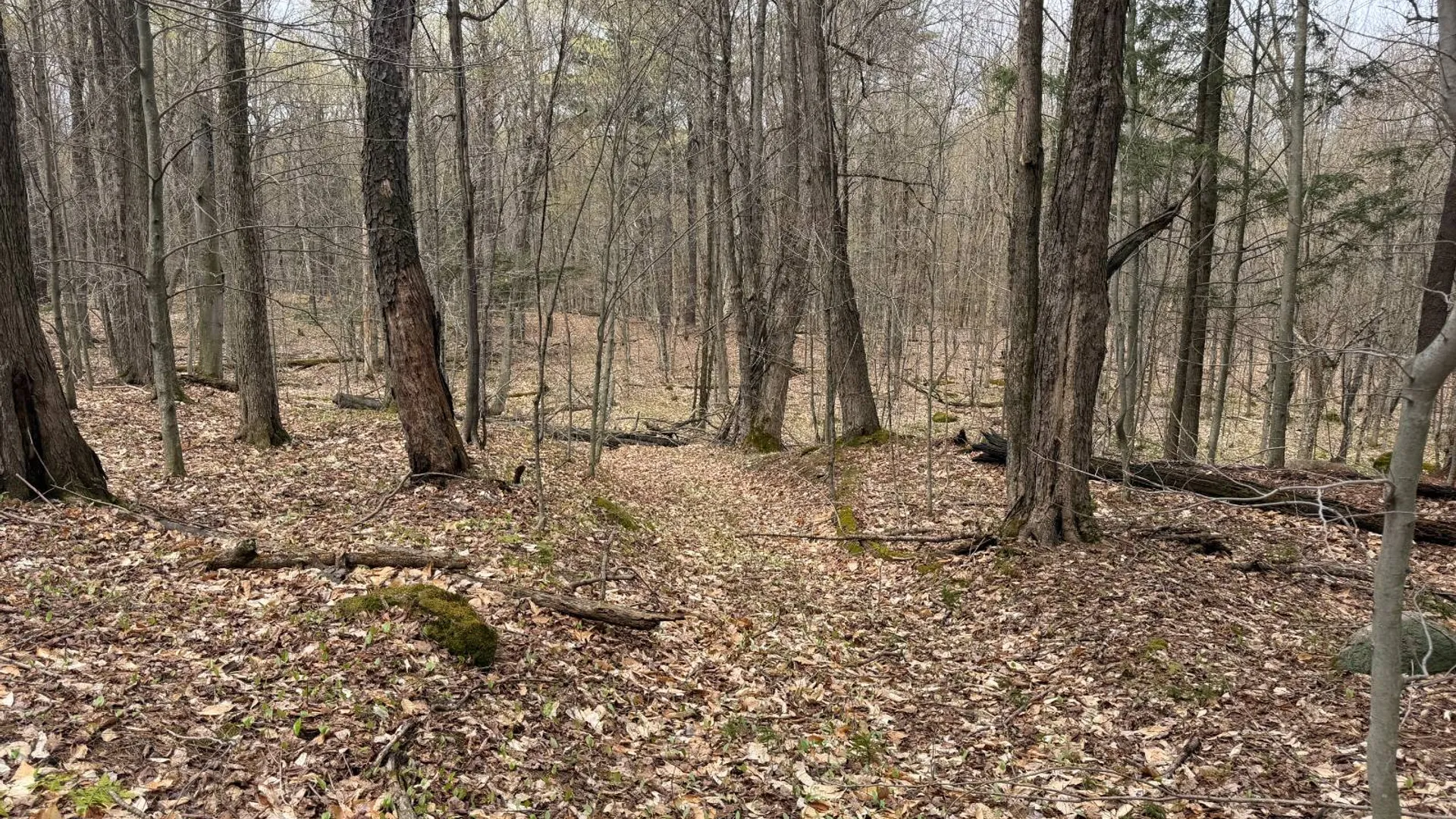 Property at 0 White Road, Dickinson, NY 12980 26