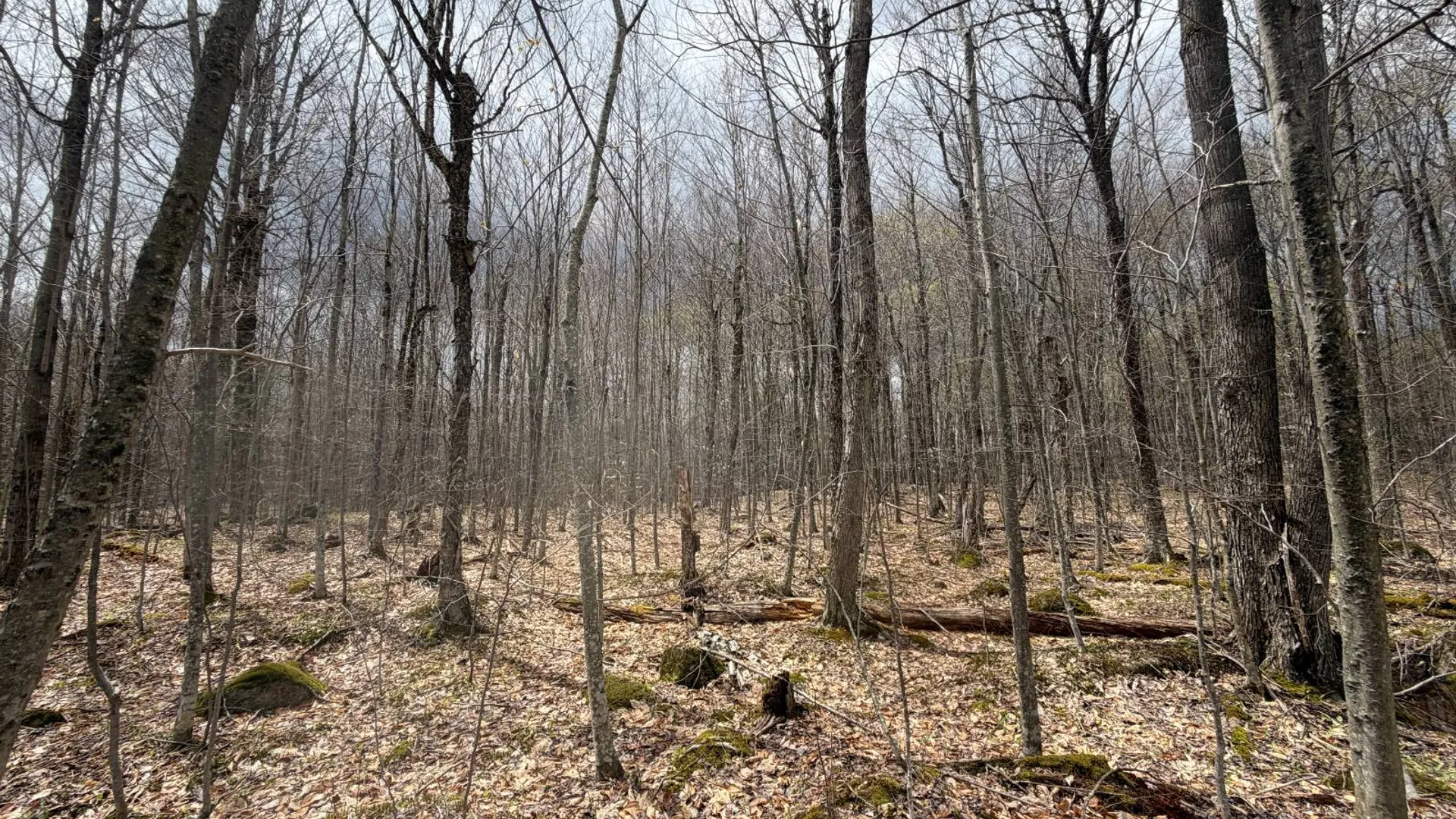 Property at 0 White Road, Dickinson, NY 12980 29