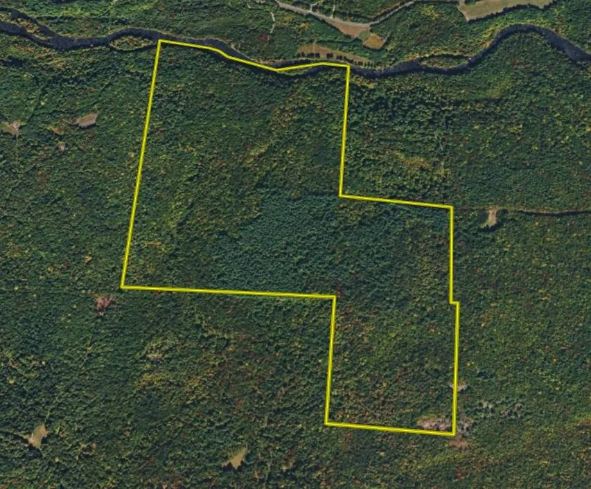 Property at 0 White Road, Dickinson, NY 12980