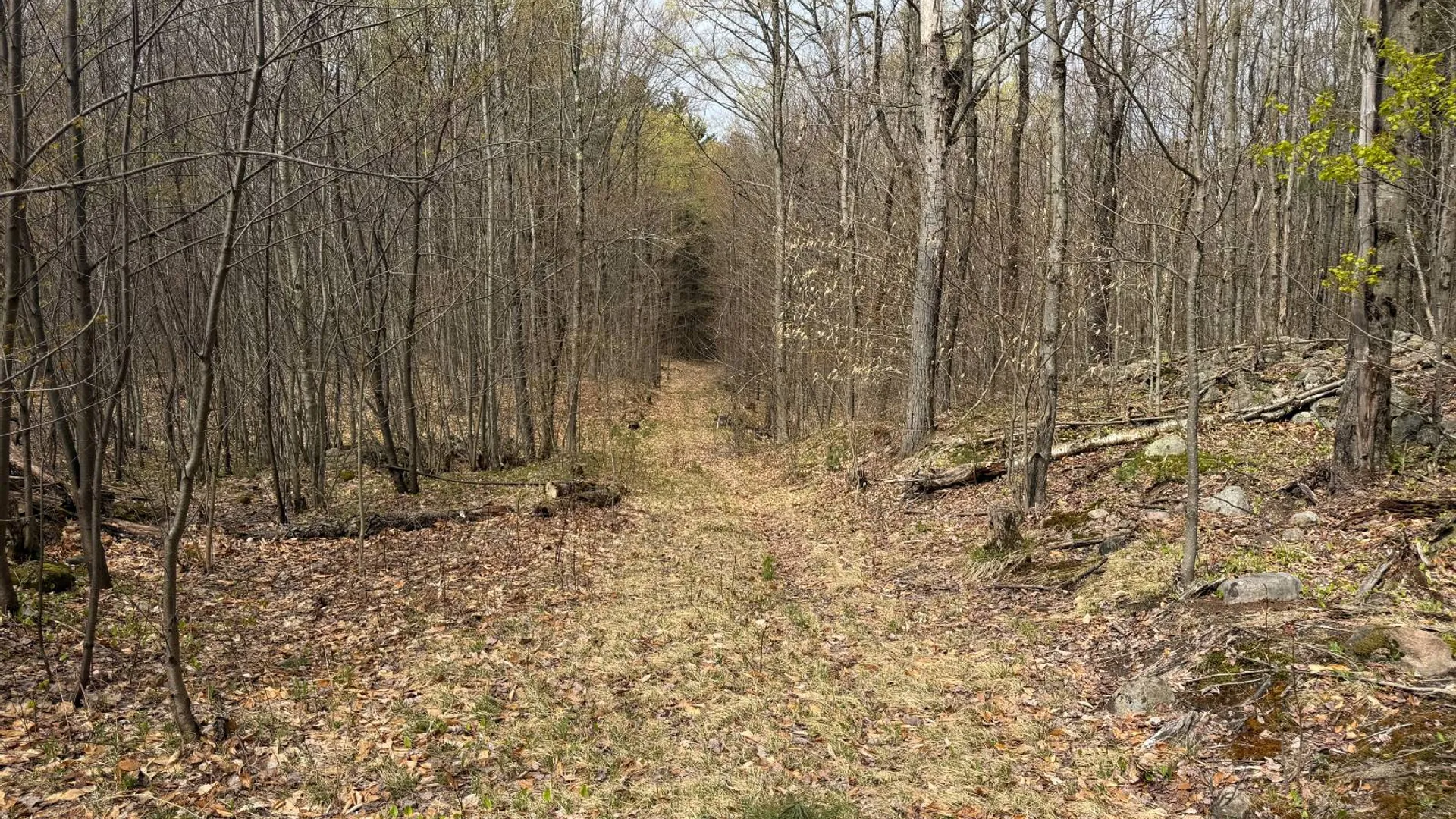Property at 0 White Road, Dickinson, NY 12980 4