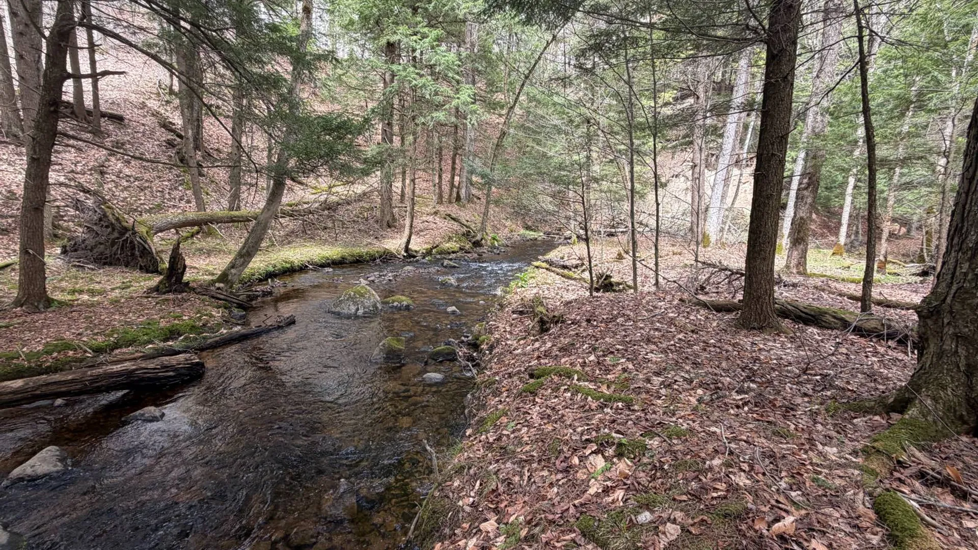Property at 0 White Road, Dickinson, NY 12980 6