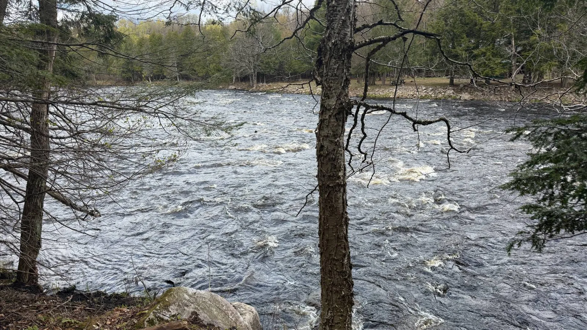 Property at 0 White Road, Dickinson, NY 12980 13