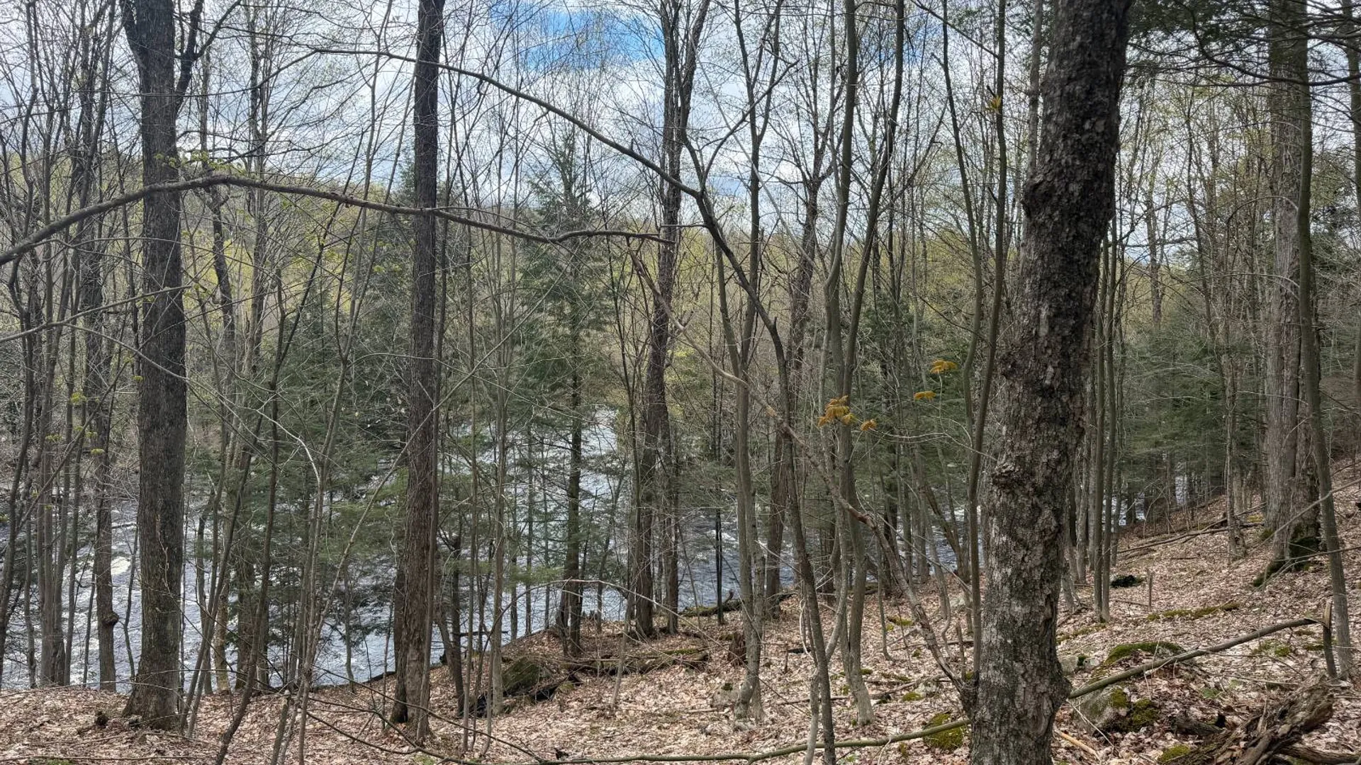 Property at 0 White Road, Dickinson, NY 12980 14