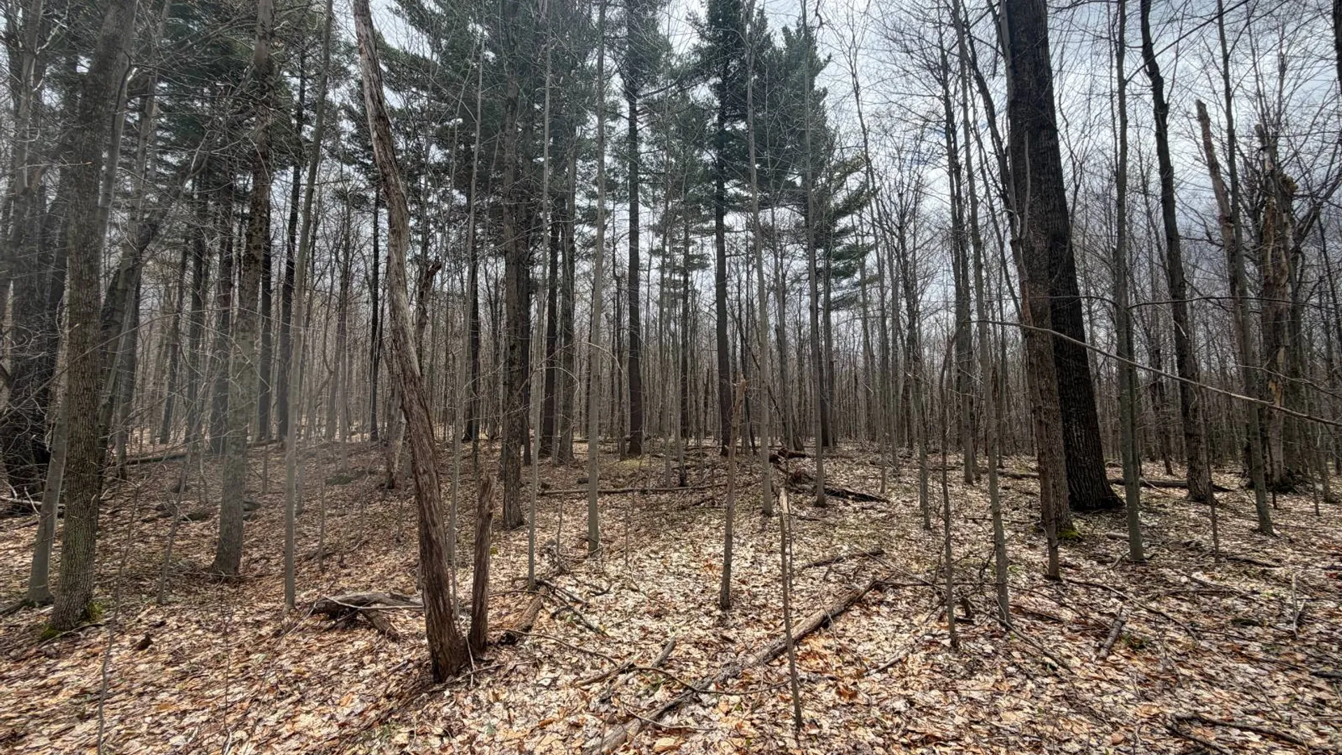 Property at 0 White Road, Dickinson, NY 12980 19