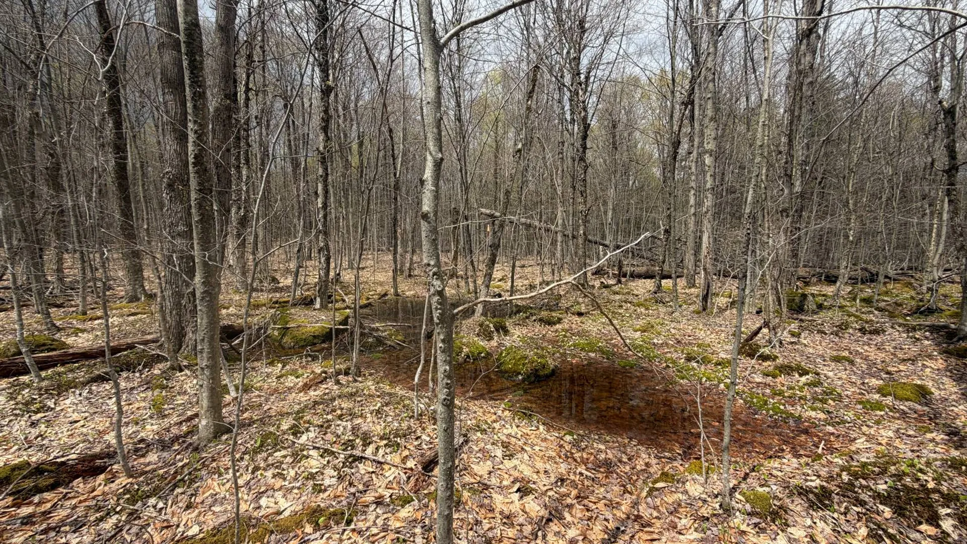 Property at 0 White Road, Dickinson, NY 12980 21