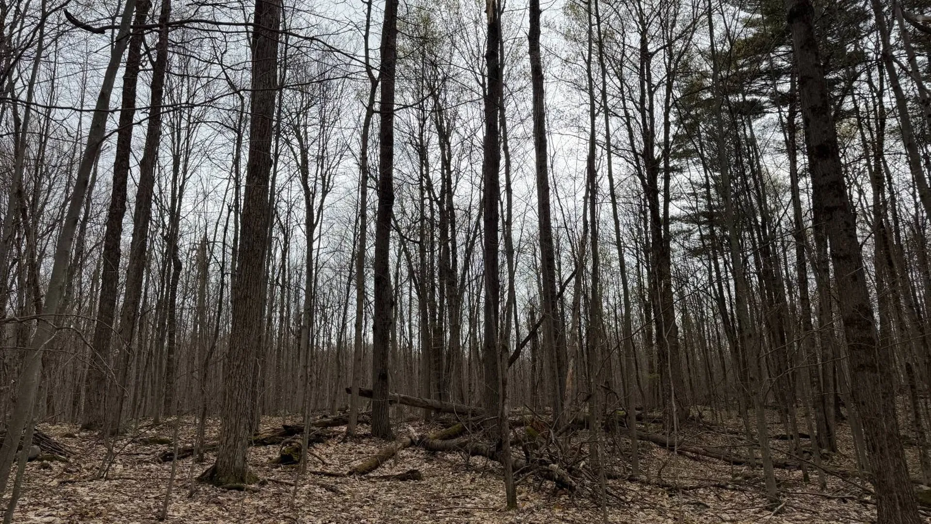 Property at 0 White Road, Dickinson, NY 12980 32