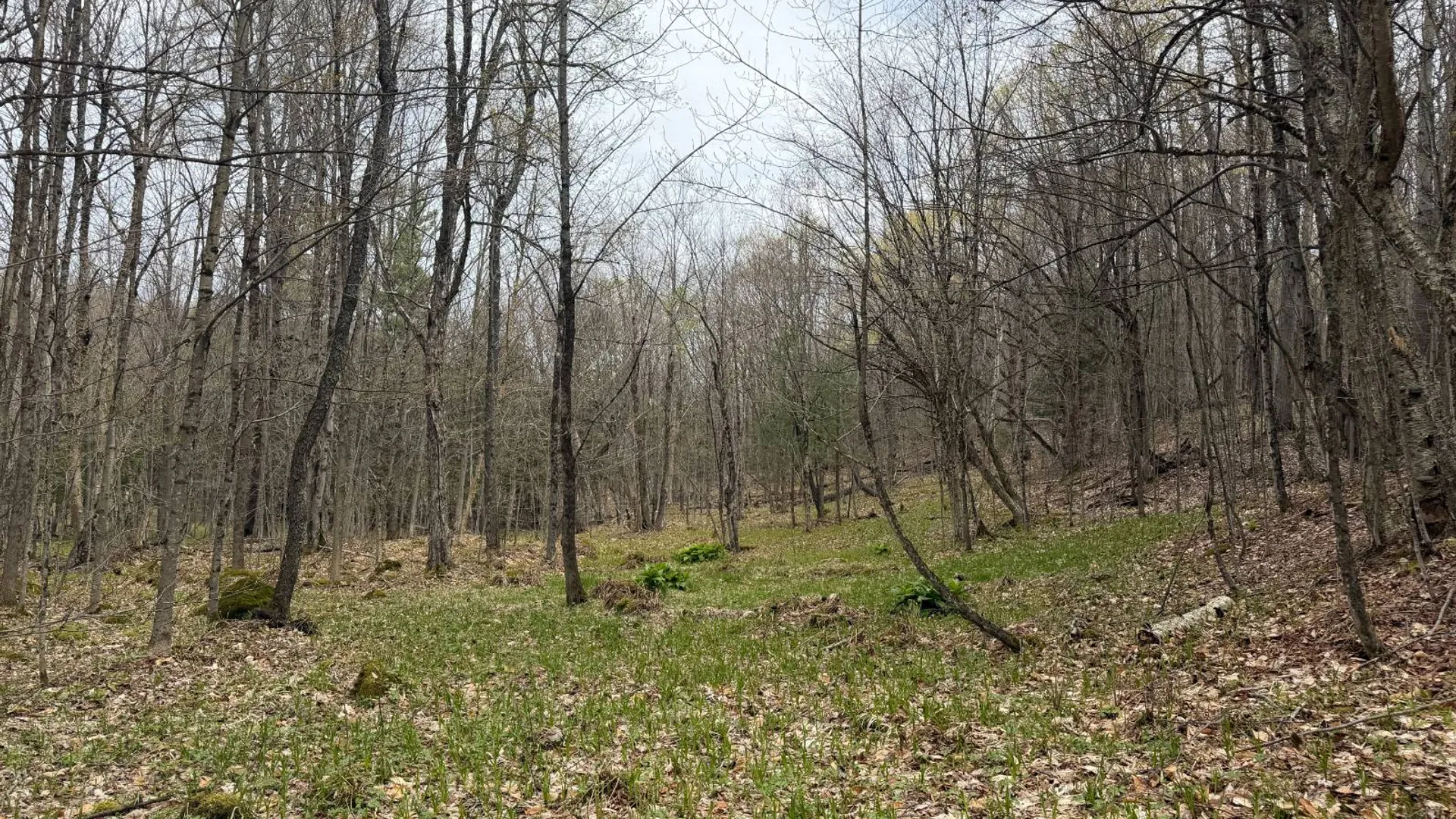 Property at 0 White Road, Dickinson, NY 12980 35