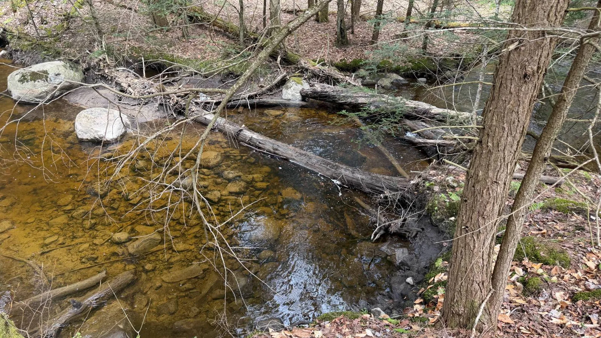 Property at 0 White Road, Dickinson, NY 12980 40