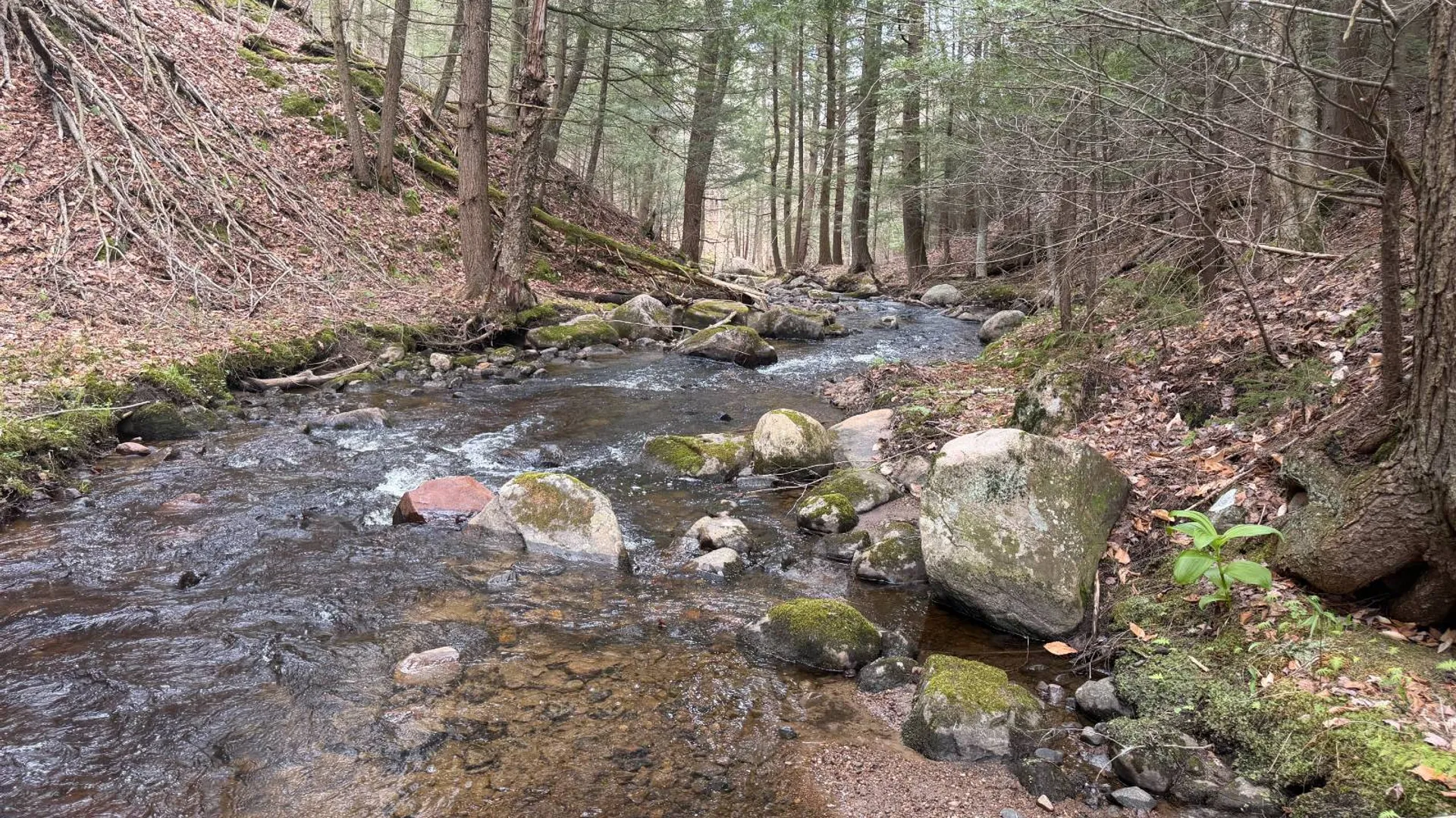Property at 0 White Road, Dickinson, NY 12980 46