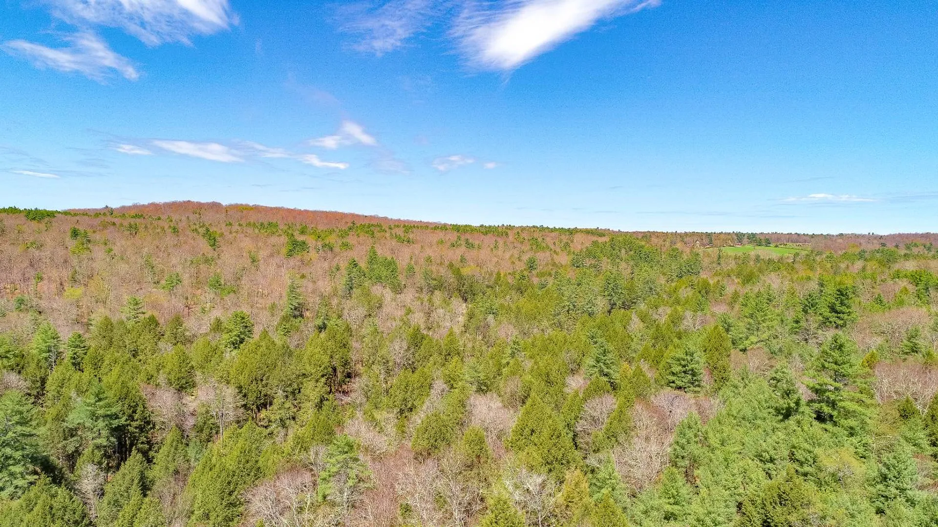 Property at 465 Schalck Rd, Narrowsburg, NY 12764 26