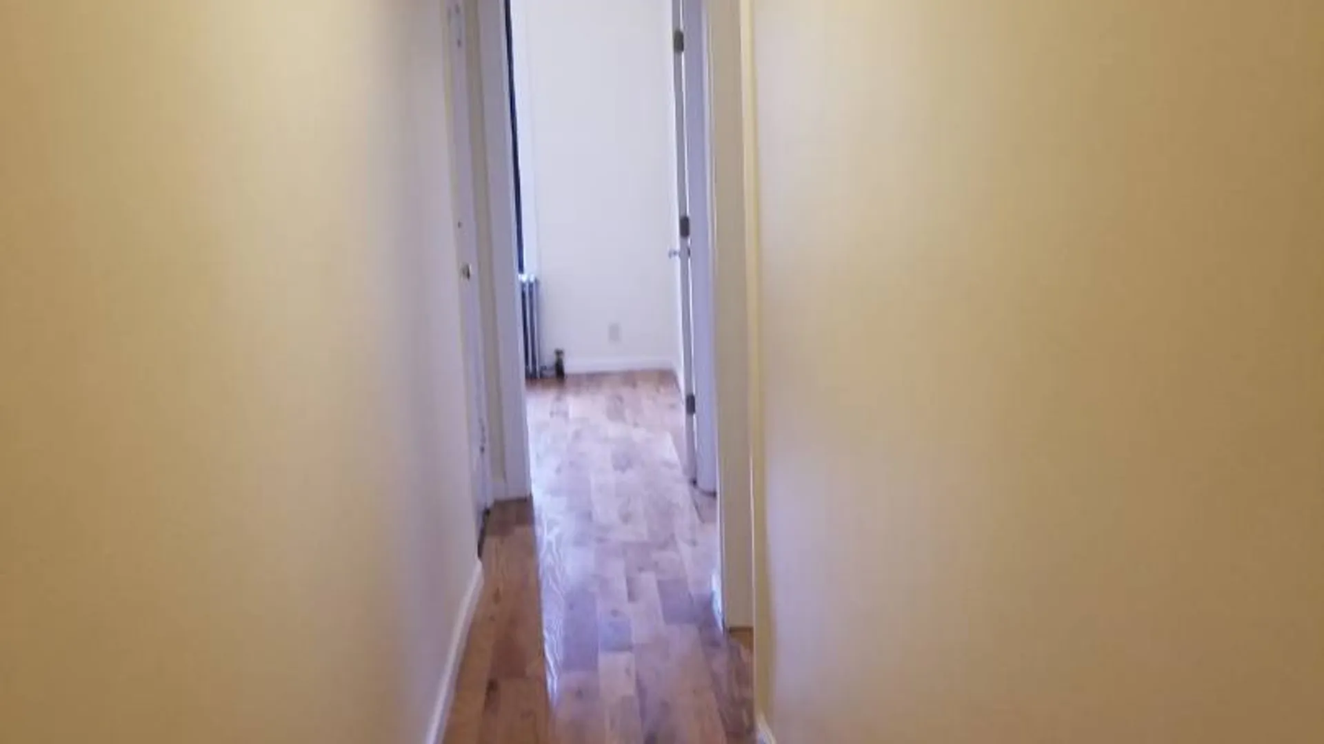 Property at Madison st, Ridgewood, NY 11385 20