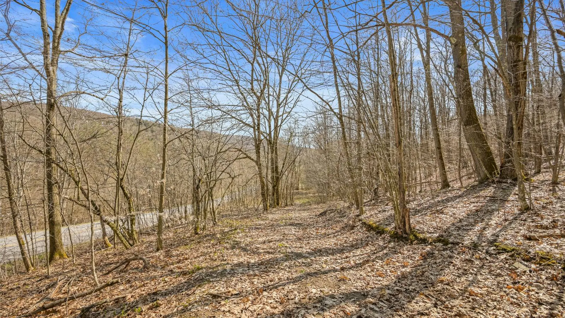 Property at L9.112 Lutheranville Rd, Summit, NY 12175 7