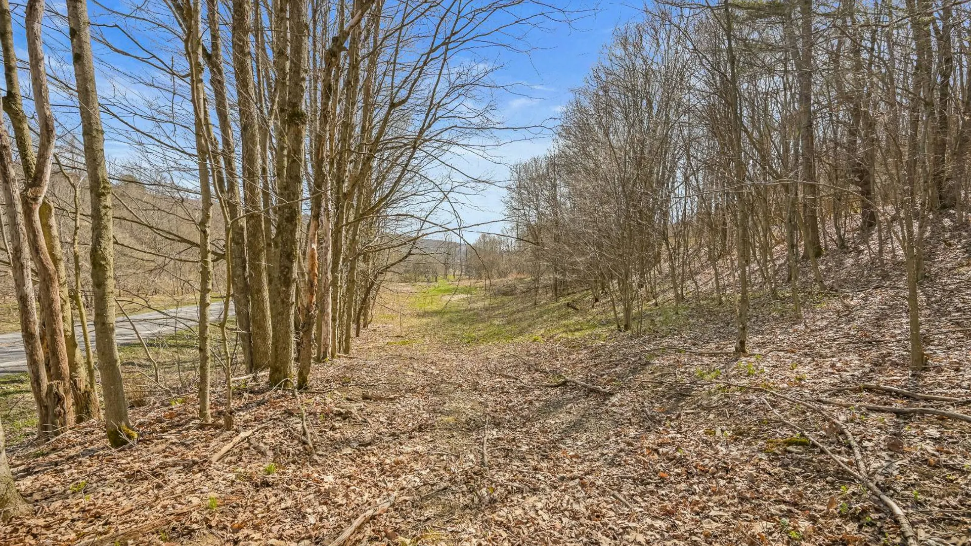 Property at L9.112 Lutheranville Rd, Summit, NY 12175 8