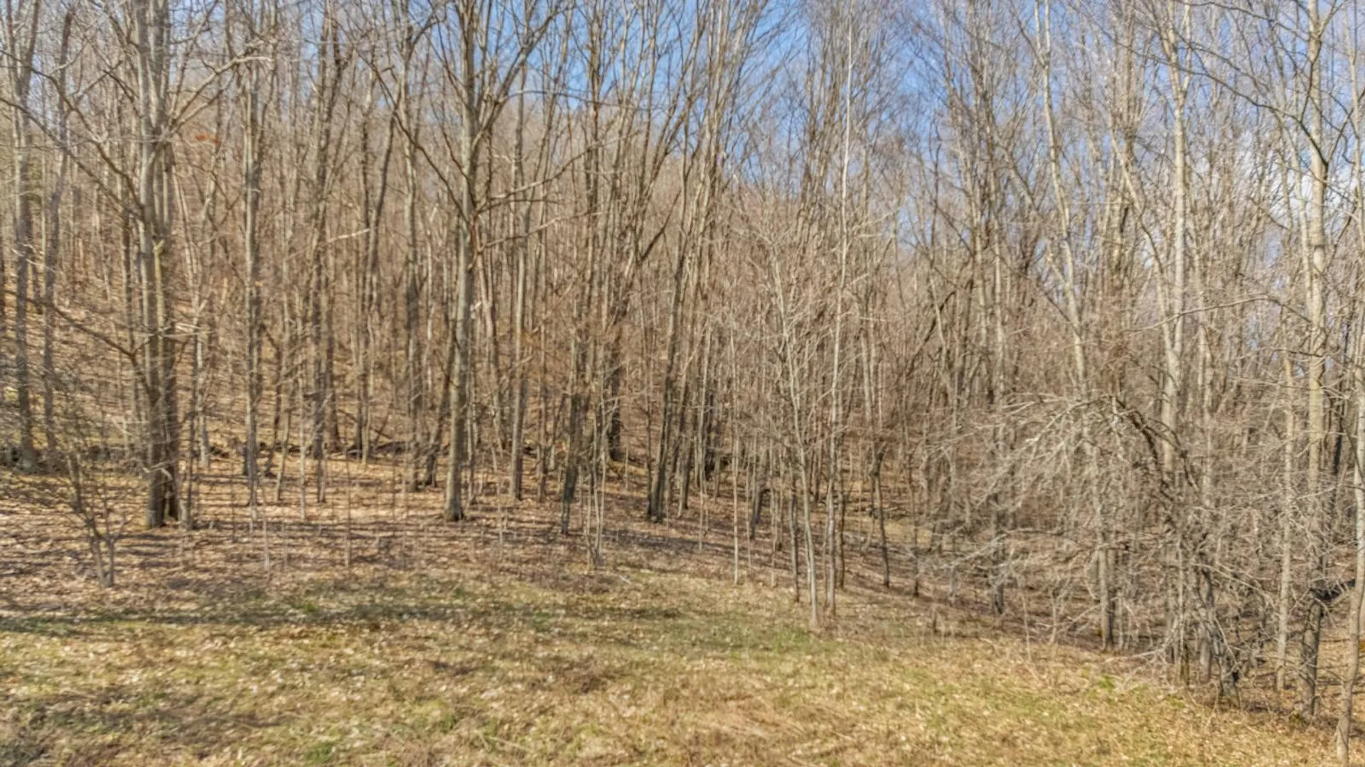 Property at L9.112 Lutheranville Rd, Summit, NY 12175 11