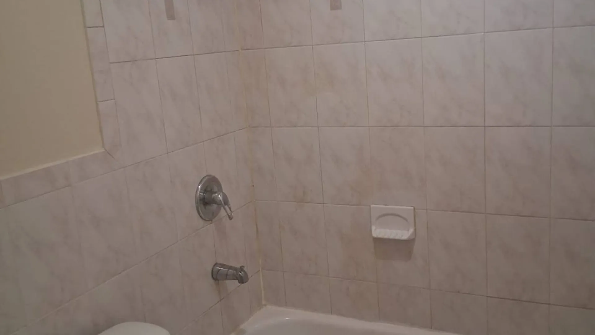 Property at 521 Glenmore Ave, Brooklyn, NY 11207 13