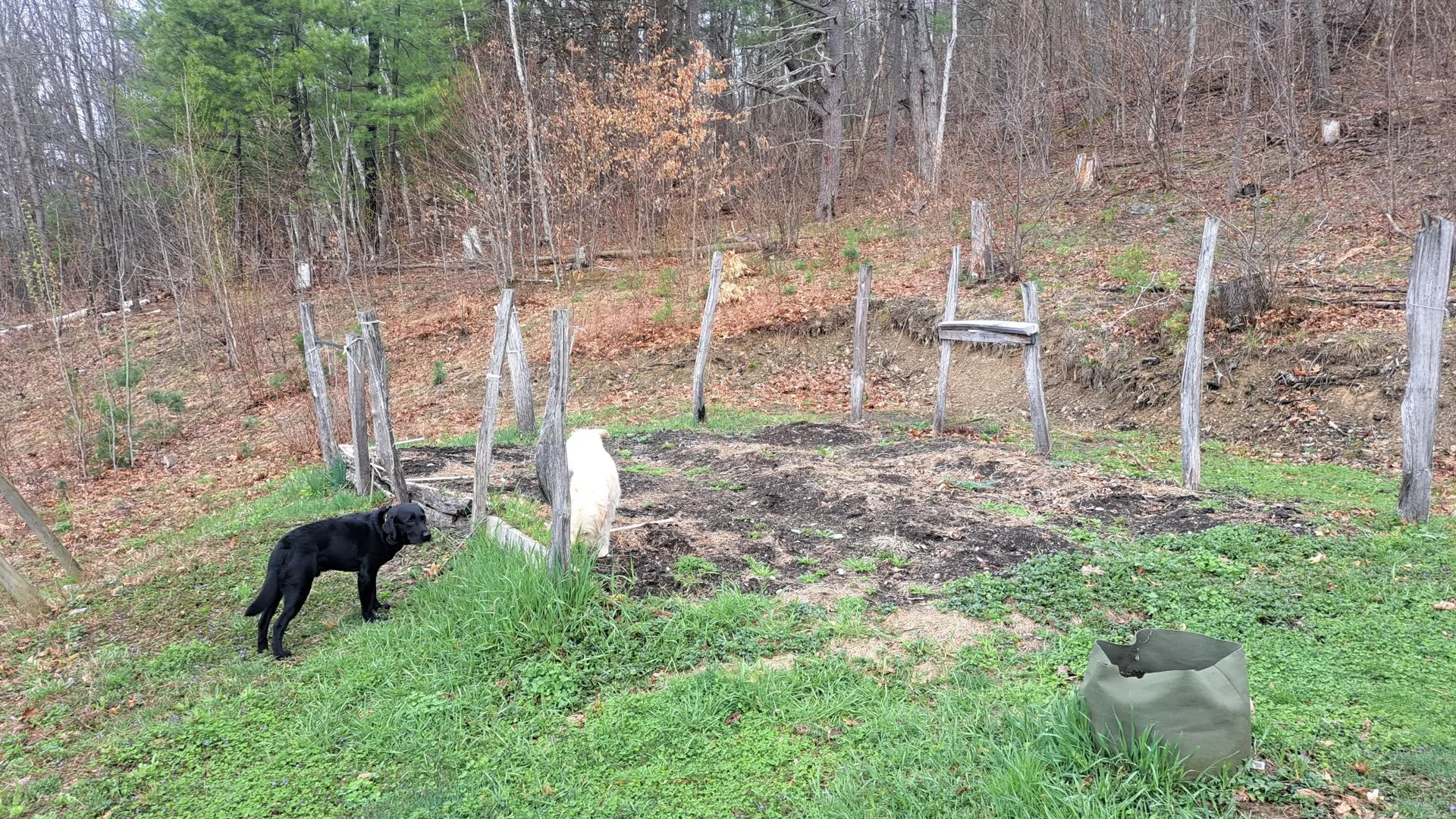 Property at 277 Breese Hollow Road, Hoosick Falls, NY 12090 27