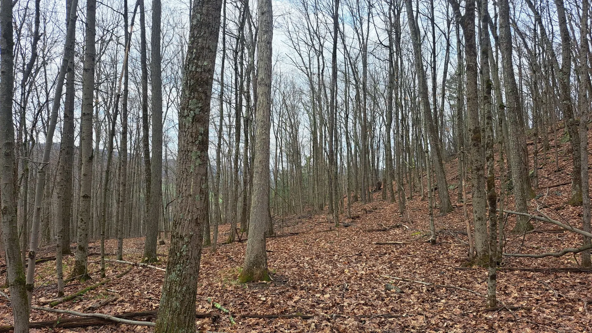Property at 277 Breese Hollow Road, Hoosick Falls, NY 12090 35