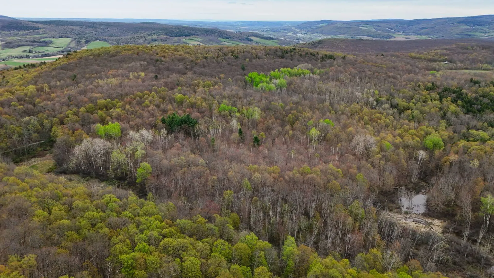 Property at 00WP Podpadic Rd, Richmondville, NY 12149 2