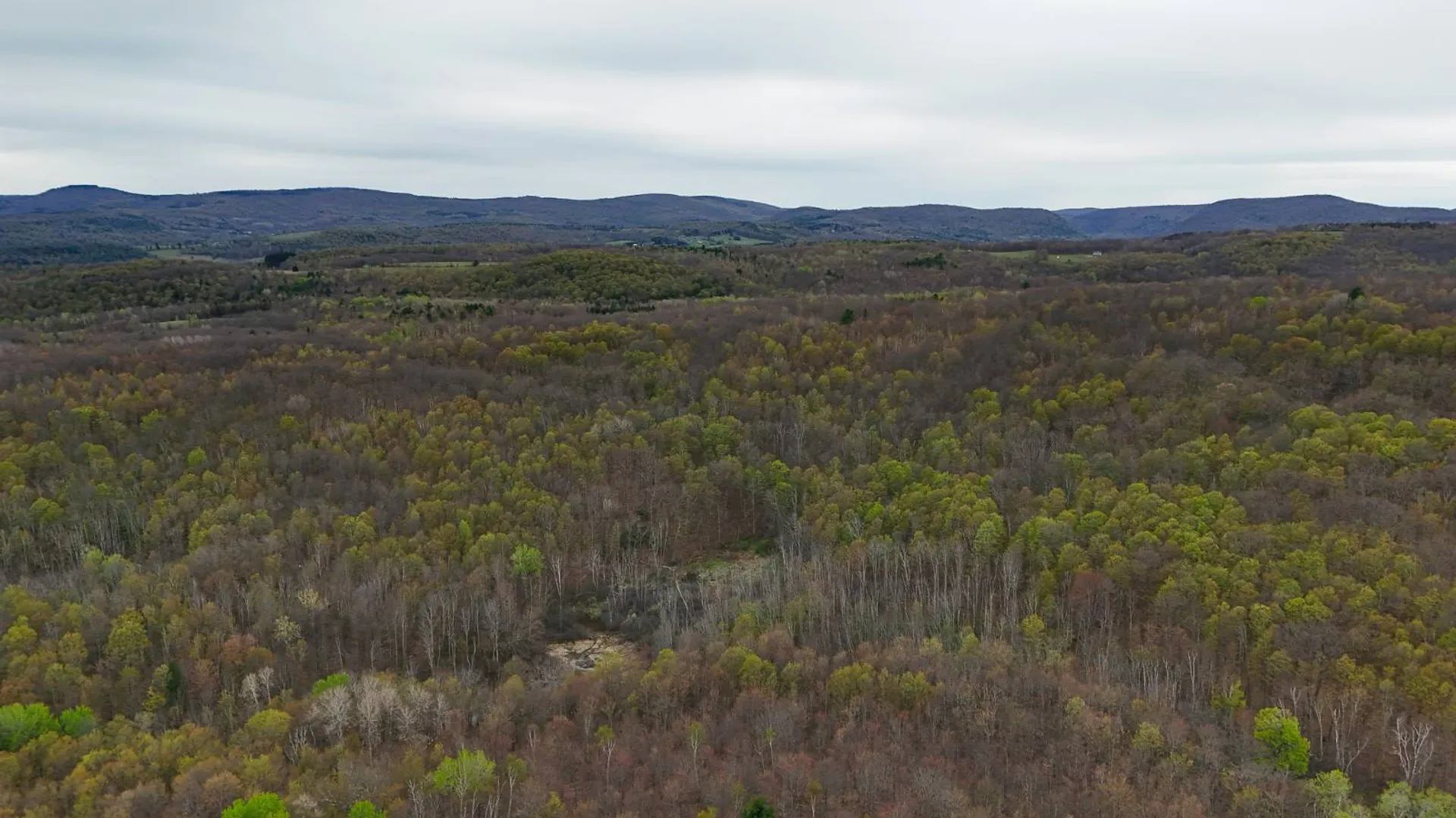Property at 00WP Podpadic Rd, Richmondville, NY 12149 5