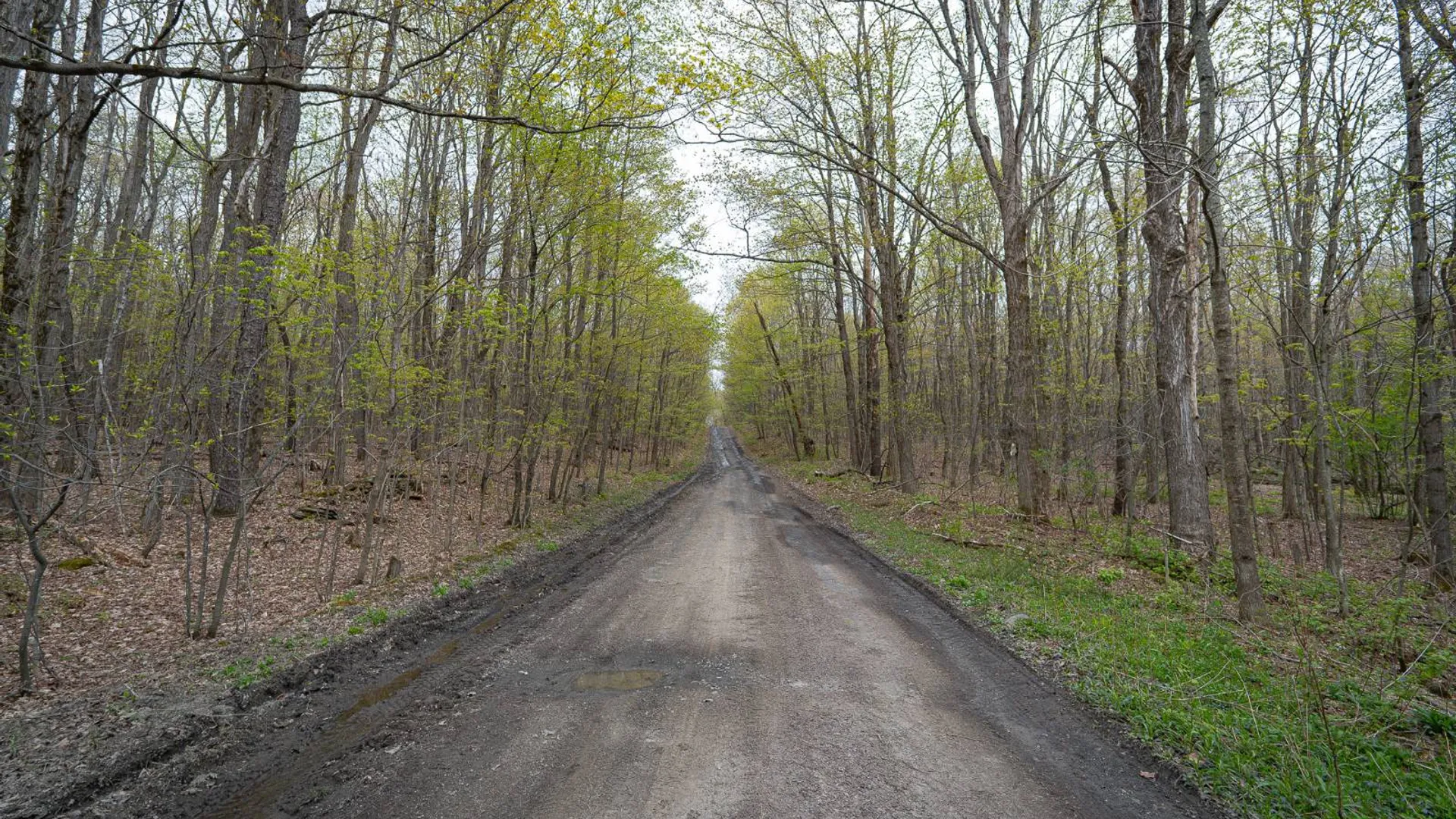 Property at 00WP Podpadic Rd, Richmondville, NY 12149 13