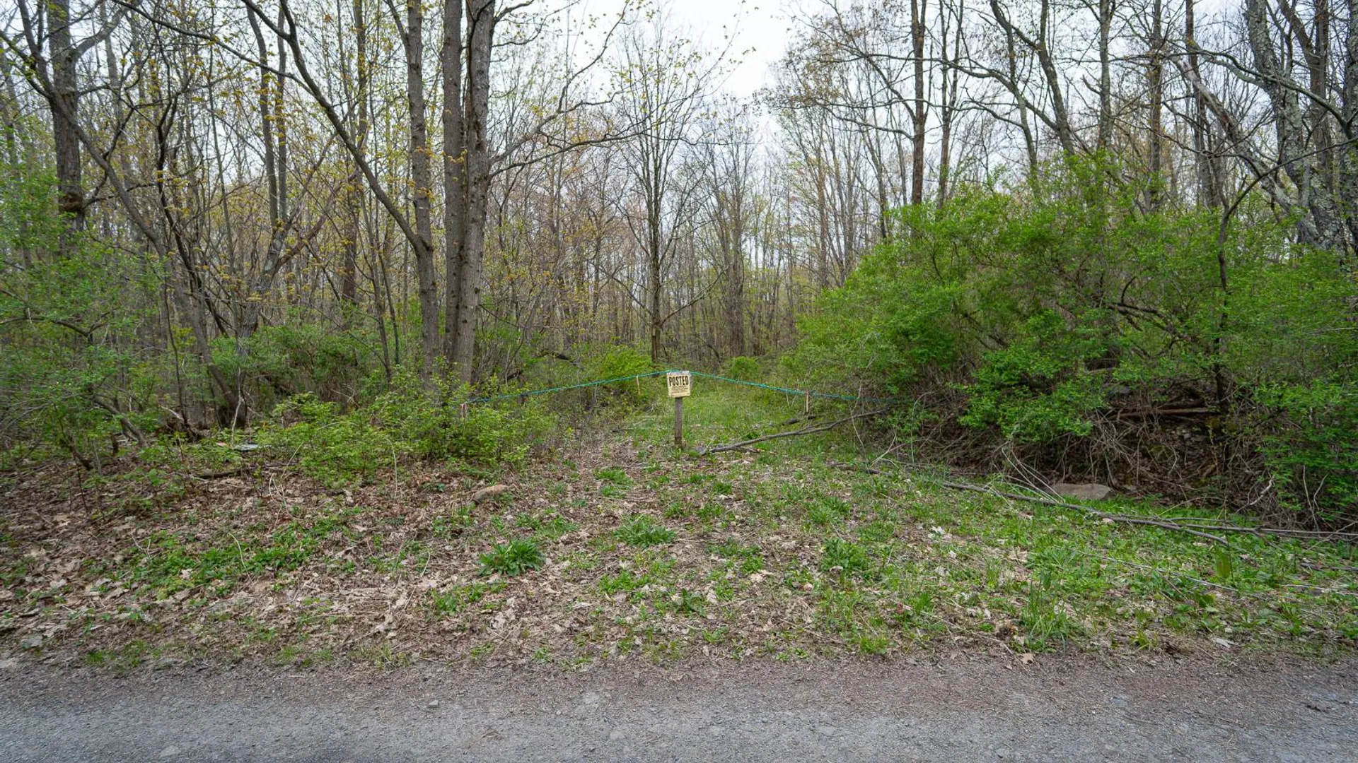 Property at 00WP Podpadic Rd, Richmondville, NY 12149 14
