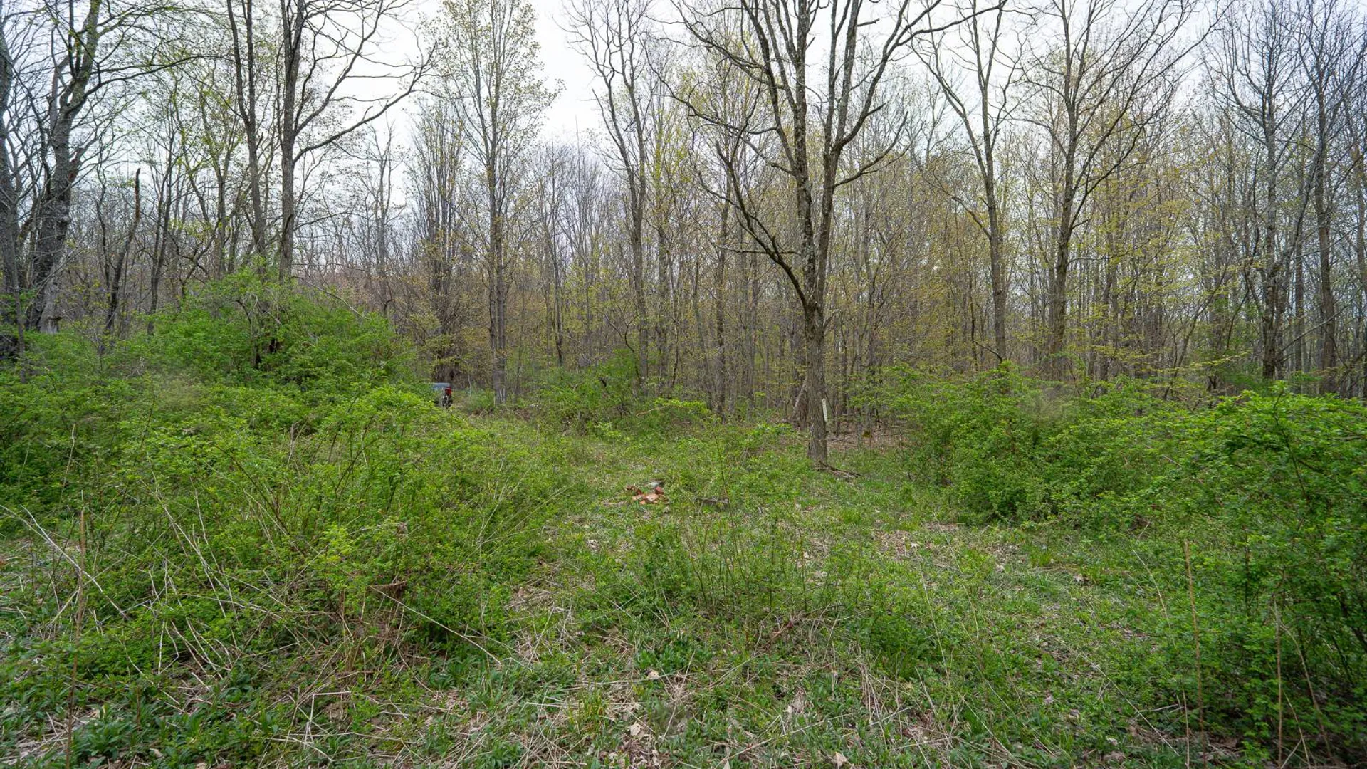 Property at 00WP Podpadic Rd, Richmondville, NY 12149 15