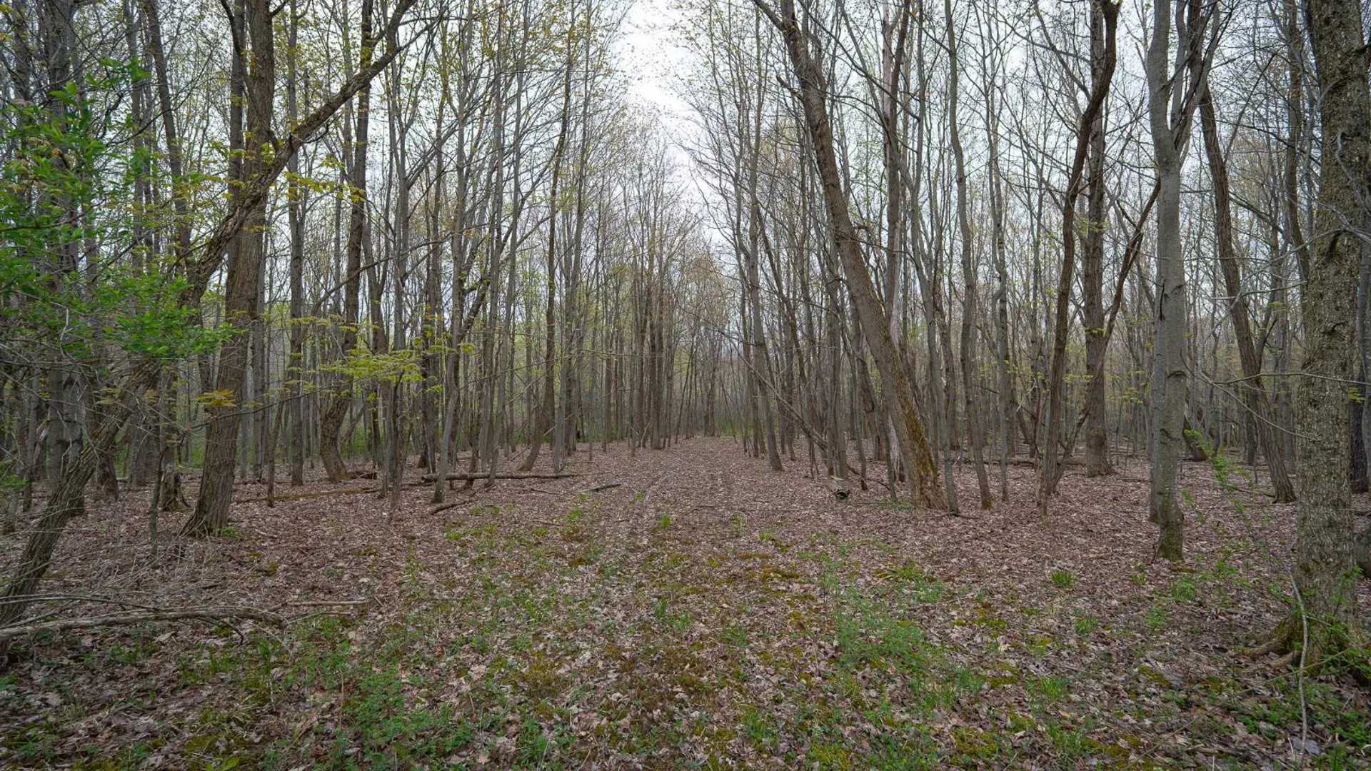 Property at 00WP Podpadic Rd, Richmondville, NY 12149 17
