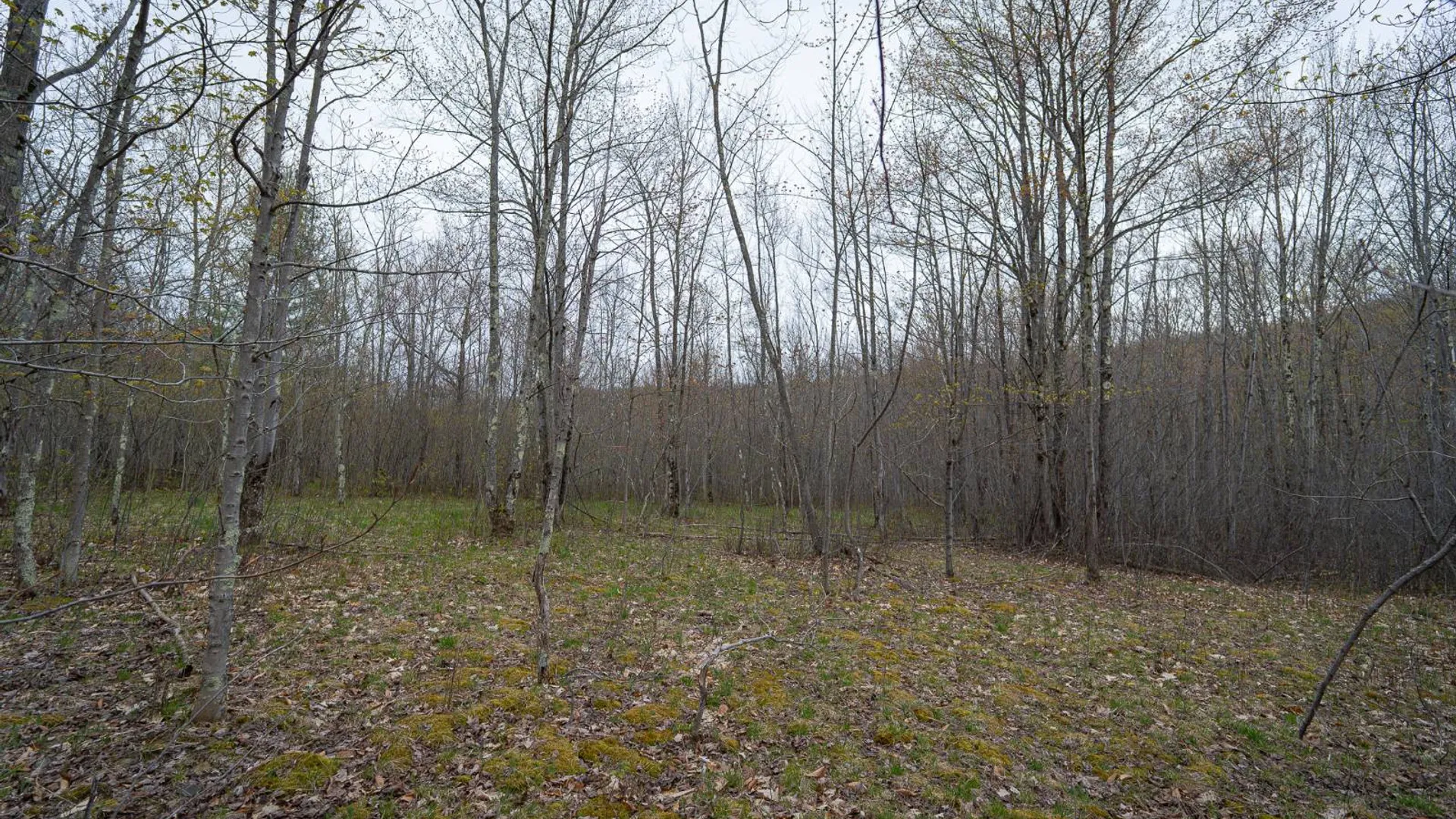 Property at 00WP Podpadic Rd, Richmondville, NY 12149 22