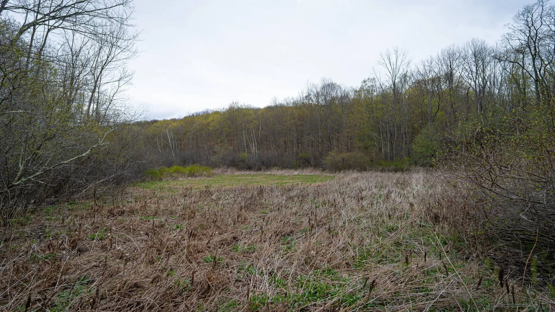 Property at 00WP Podpadic Rd, Richmondville, NY 12149 26