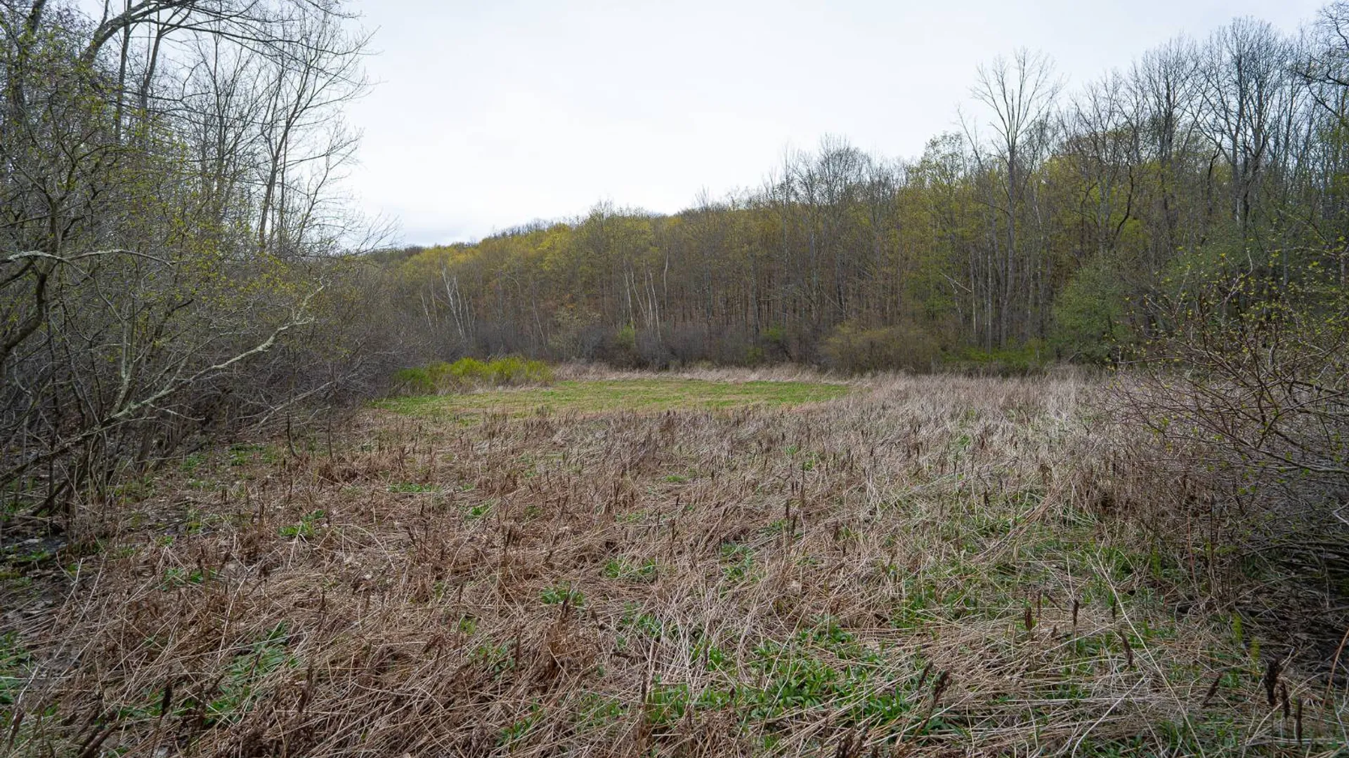 Property at 00WP Podpadic Rd, Richmondville, NY 12149 27