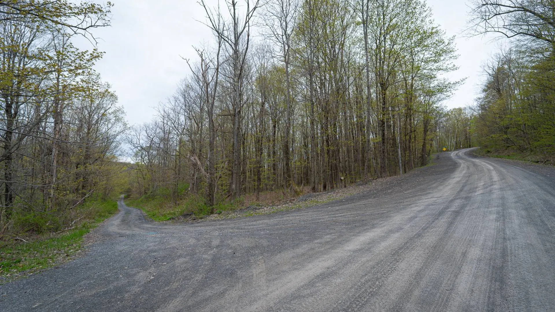 Property at 00WP Podpadic Rd, Richmondville, NY 12149 28