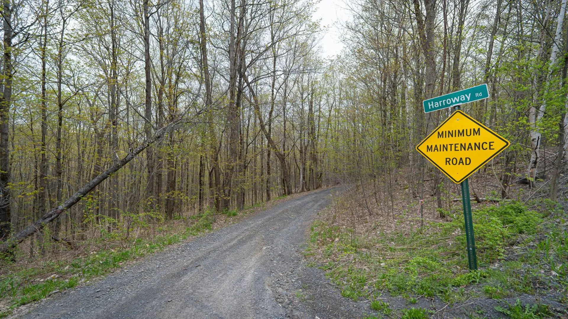 Property at 00WP Podpadic Rd, Richmondville, NY 12149 29