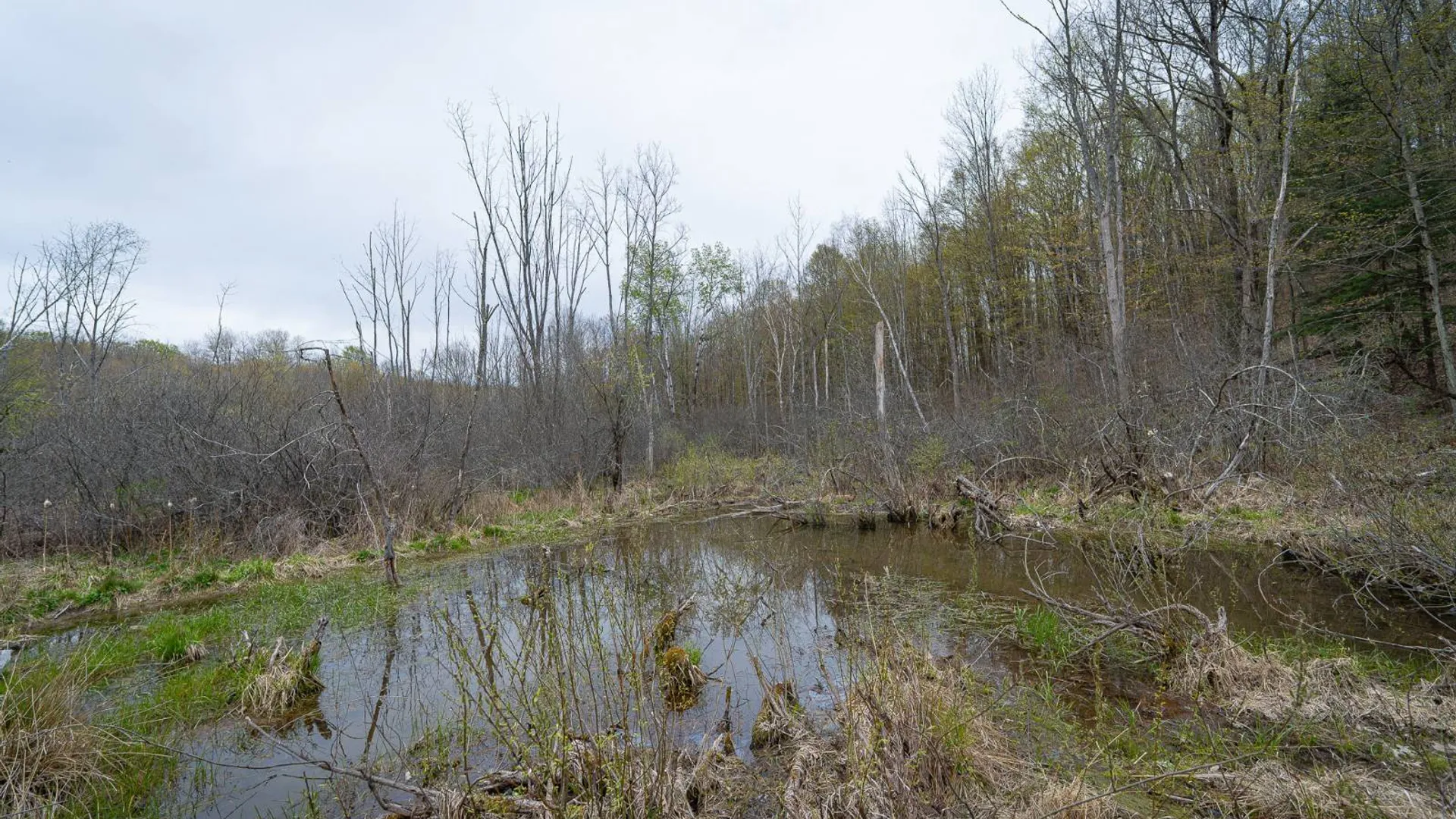 Property at 00WP Podpadic Rd, Richmondville, NY 12149 38