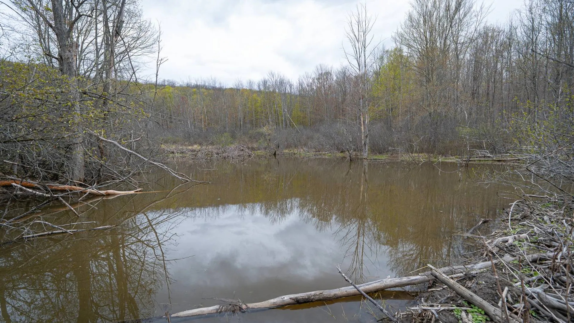 Property at 00WP Podpadic Rd, Richmondville, NY 12149 45