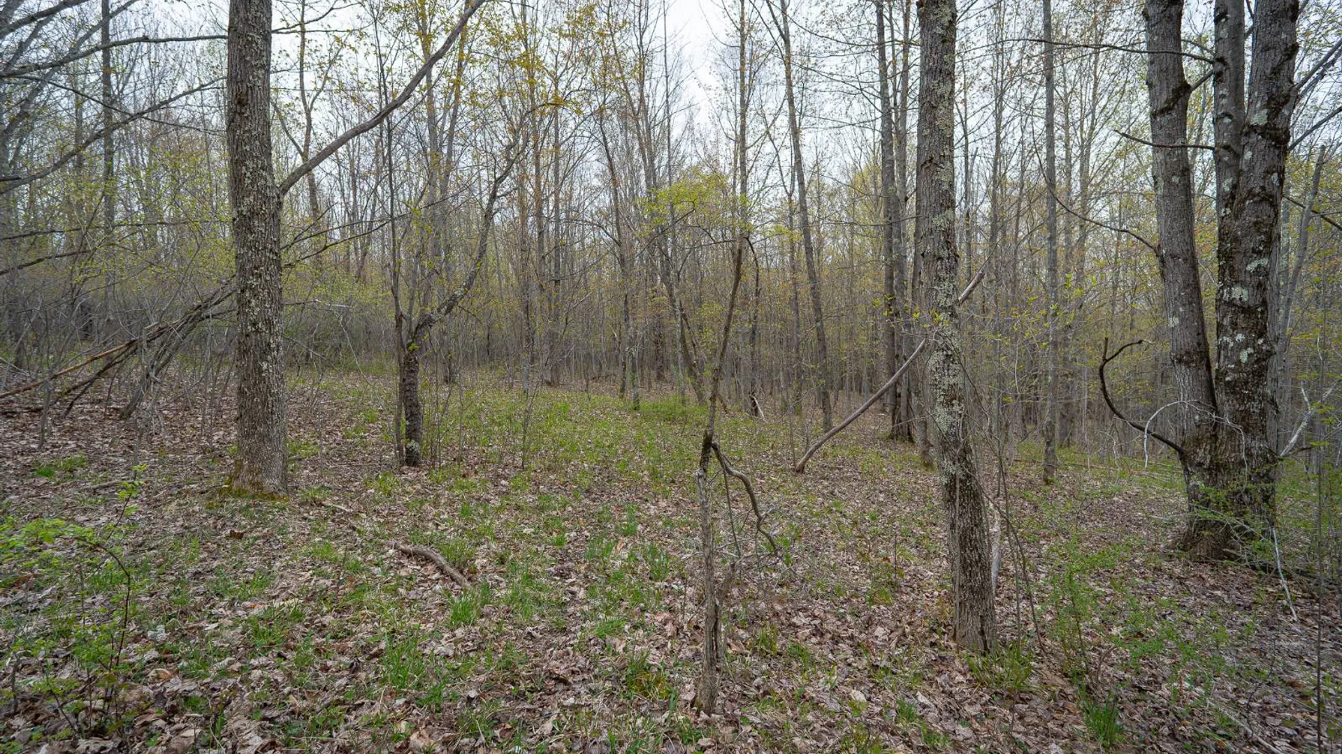 Property at 00WP Podpadic Rd, Richmondville, NY 12149 49