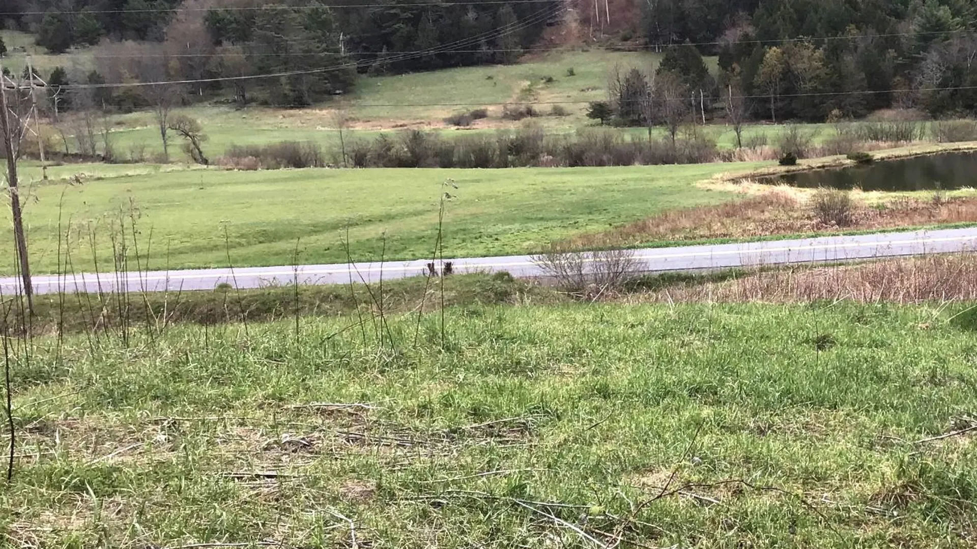 Property at 415 Deer Run Road, Ashlnd, NY 12407 4