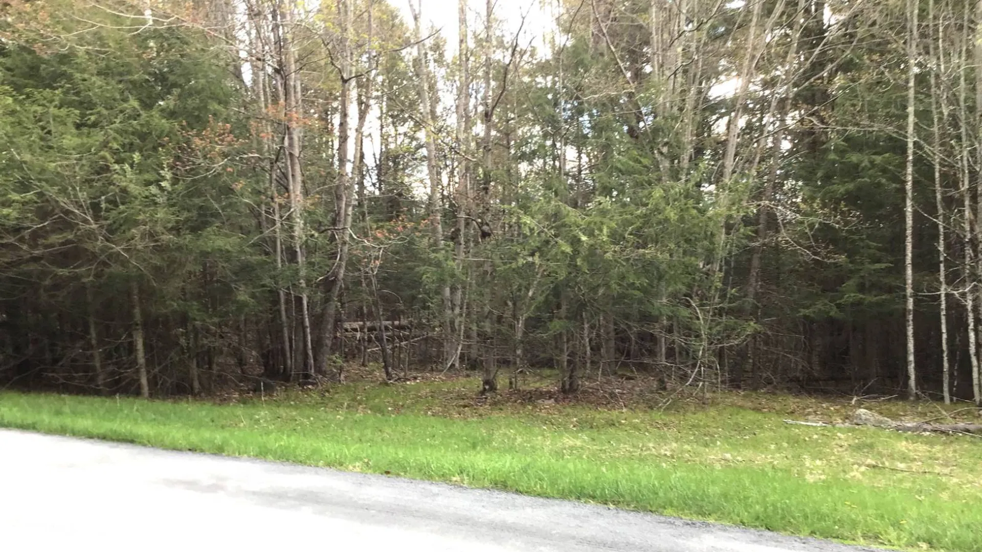 Property at 415 Deer Run Road, Ashlnd, NY 12407 5