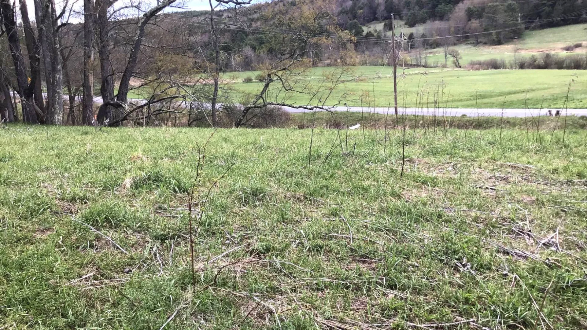 Property at 415 Deer Run Road, Ashlnd, NY 12407 10