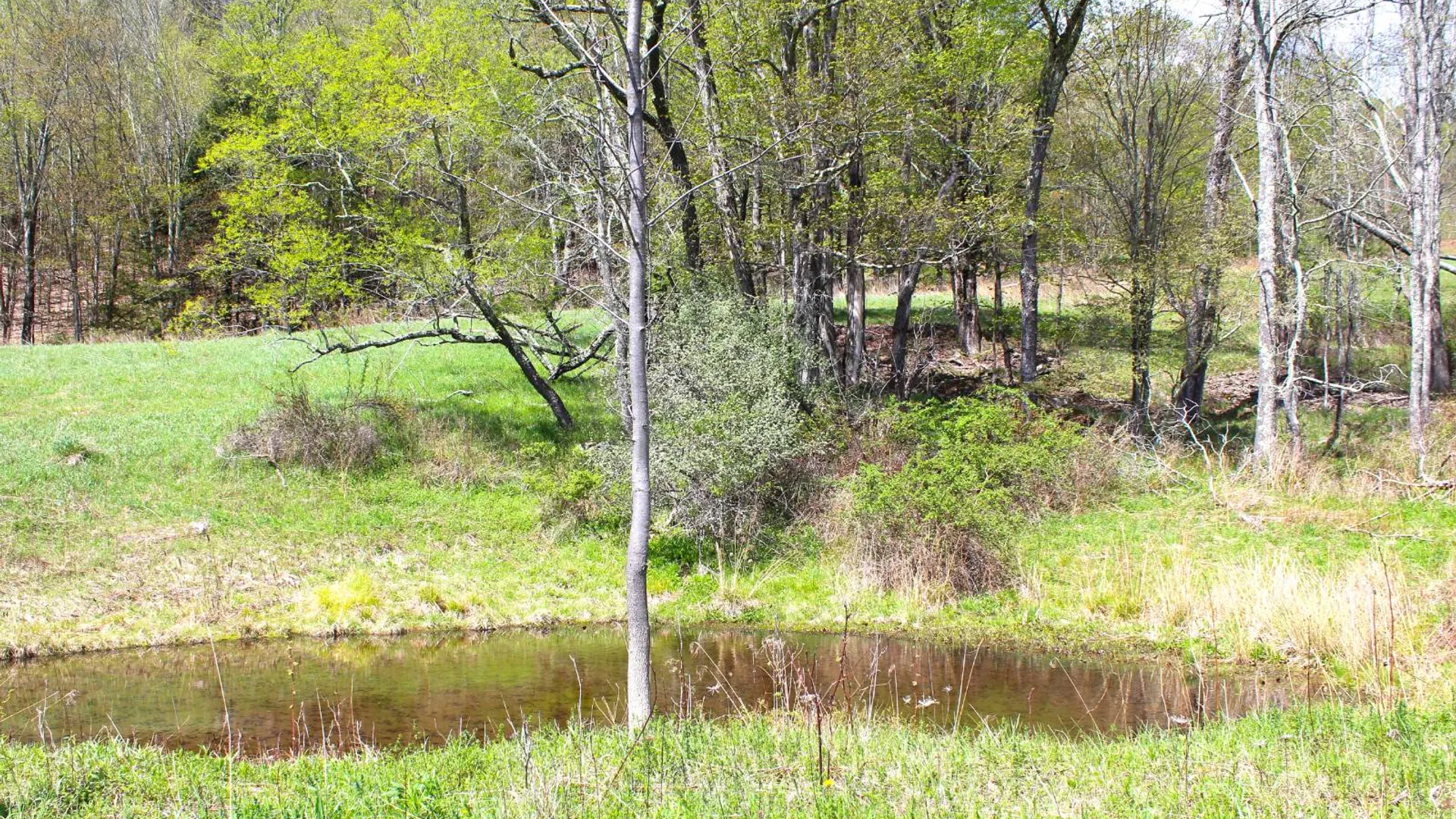 Property at 415 Deer Run Road, Ashlnd, NY 12407 16