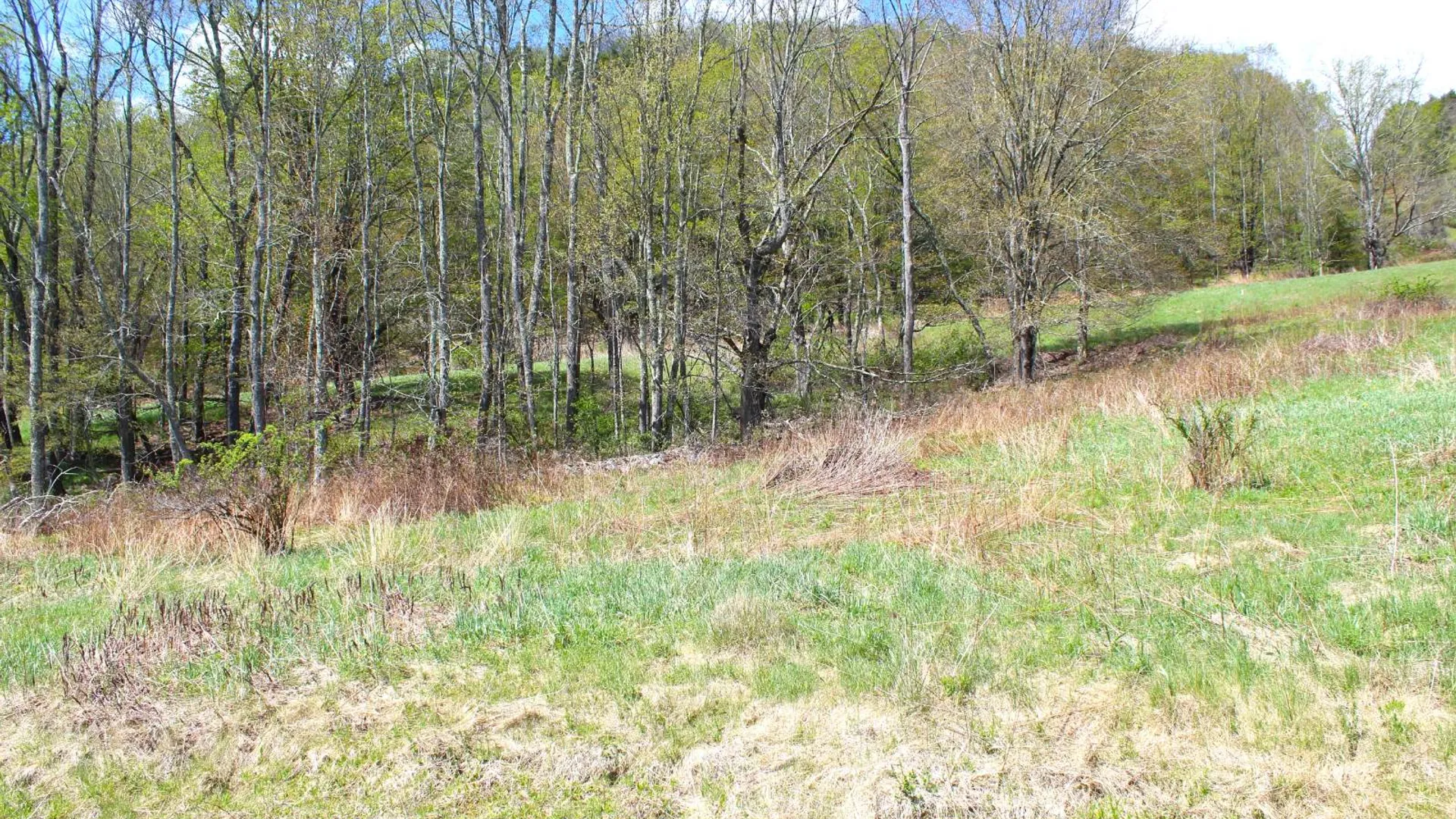Property at 415 Deer Run Road, Ashlnd, NY 12407 8