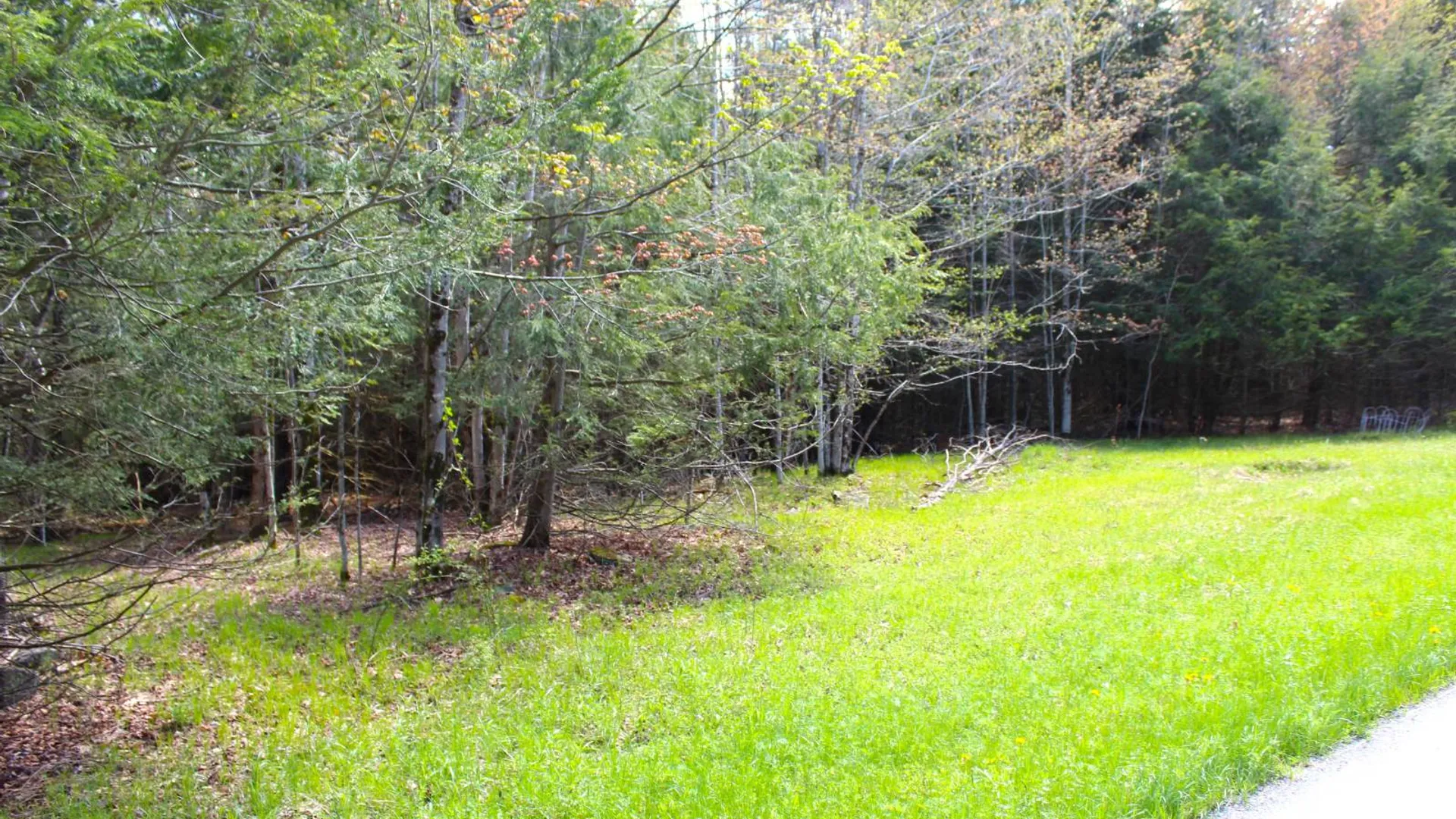 Property at 415 Deer Run Road, Ashlnd, NY 12407 17