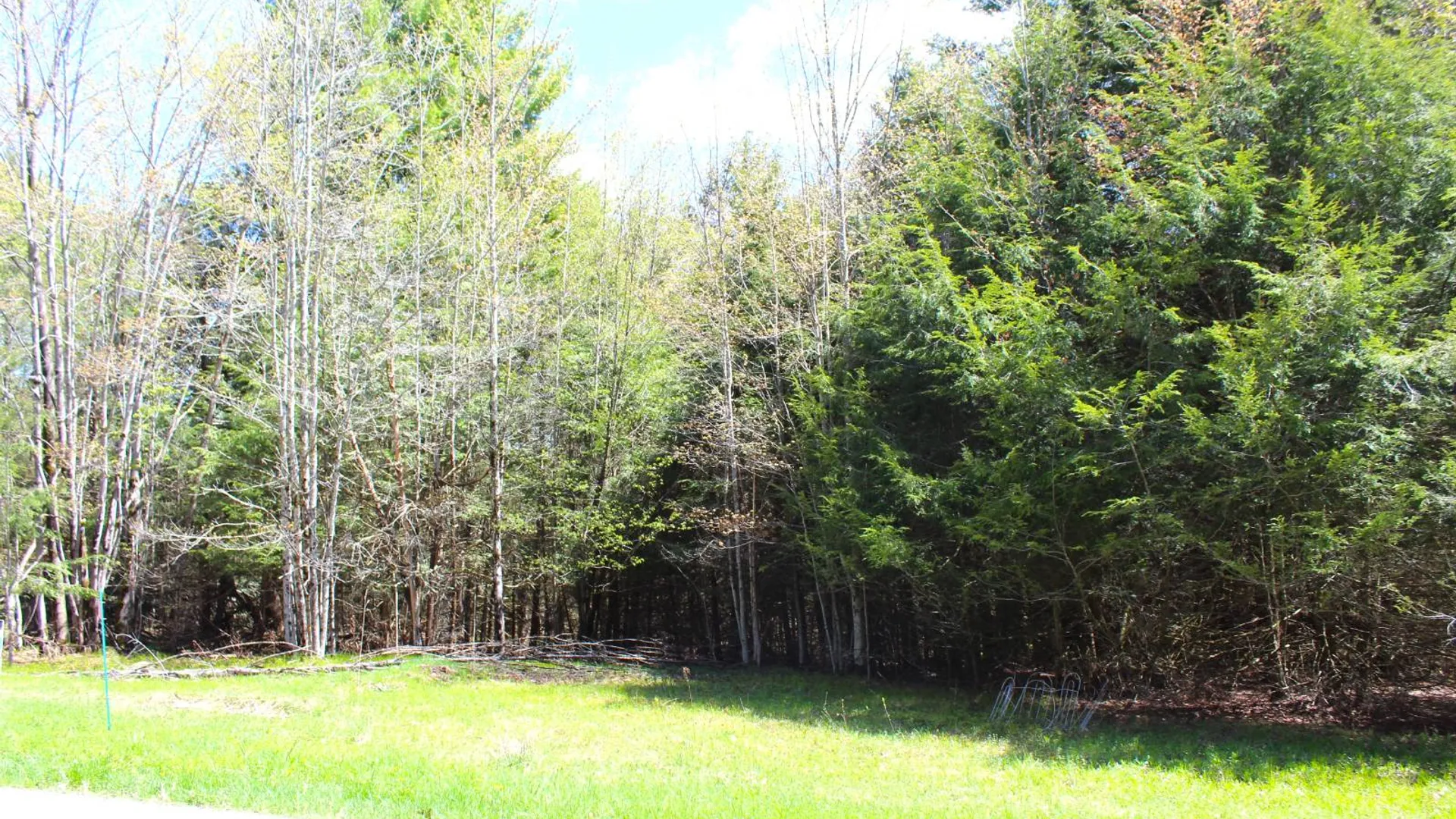 Property at 415 Deer Run Road, Ashlnd, NY 12407 18